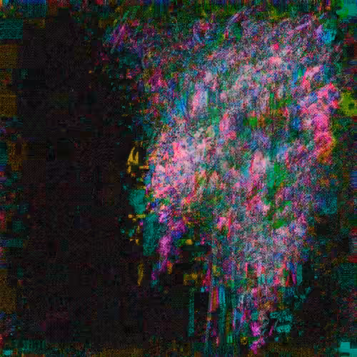 THE BLOSSOM OF LIVING DREAMS