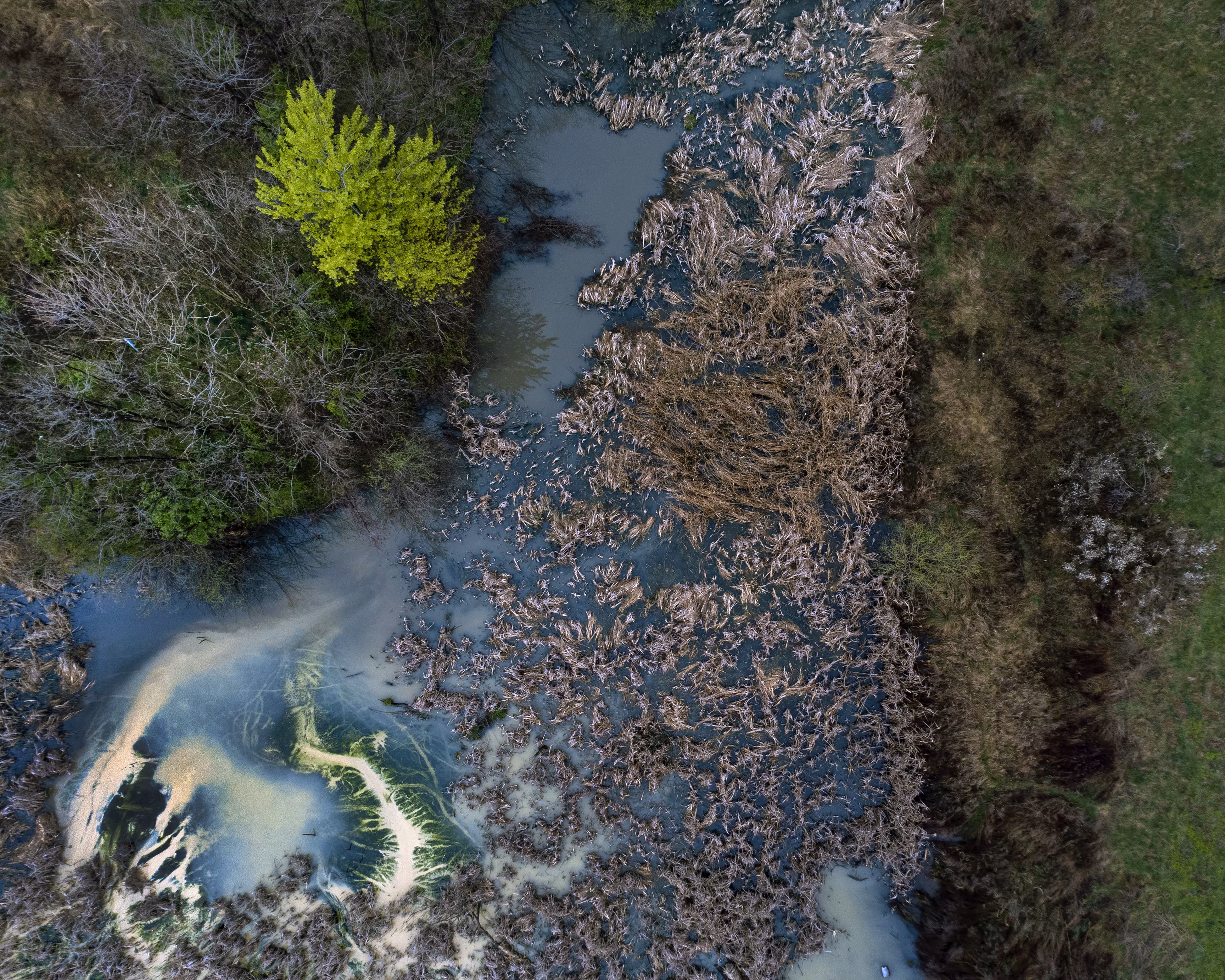 Nature and (anti)society