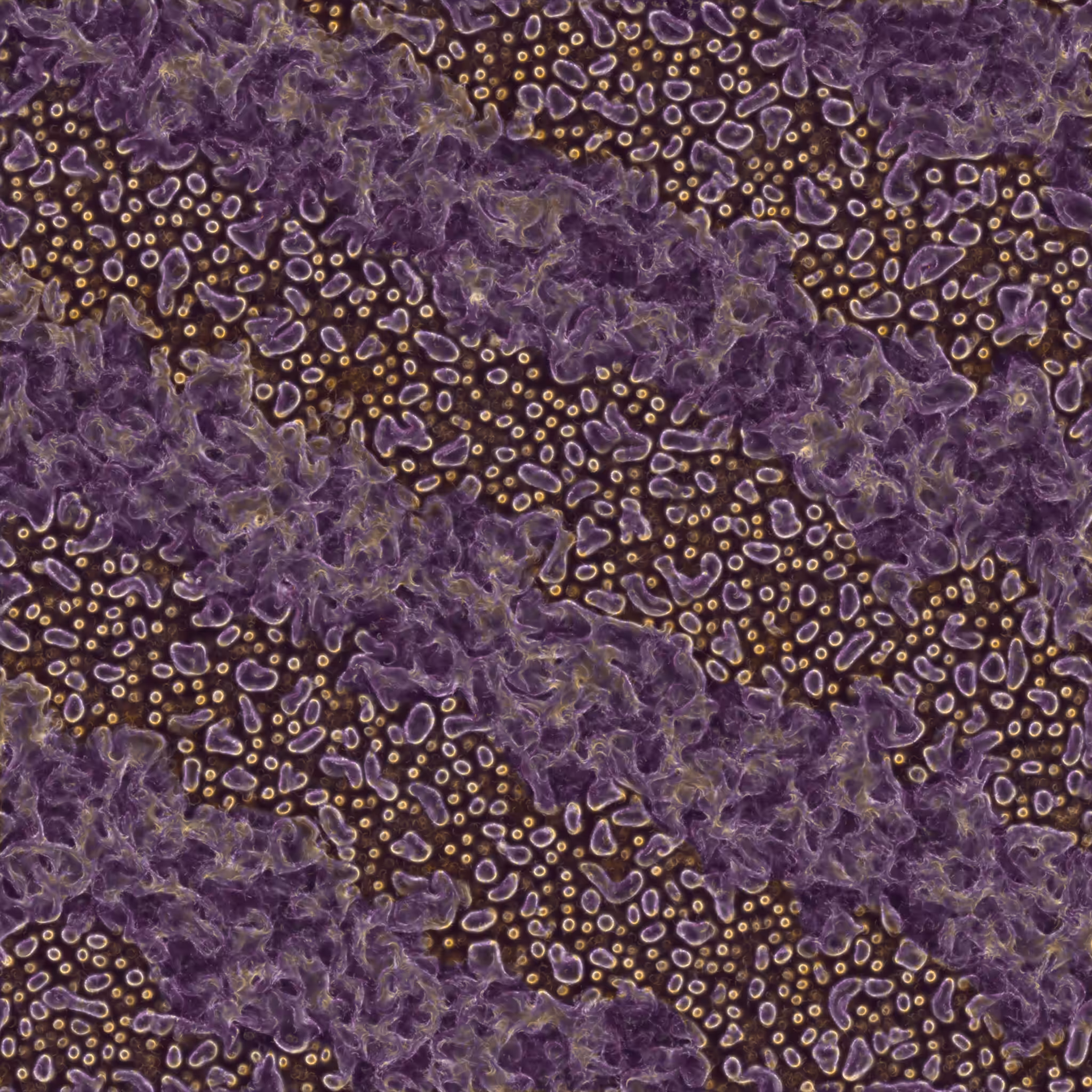 saprophyte #118