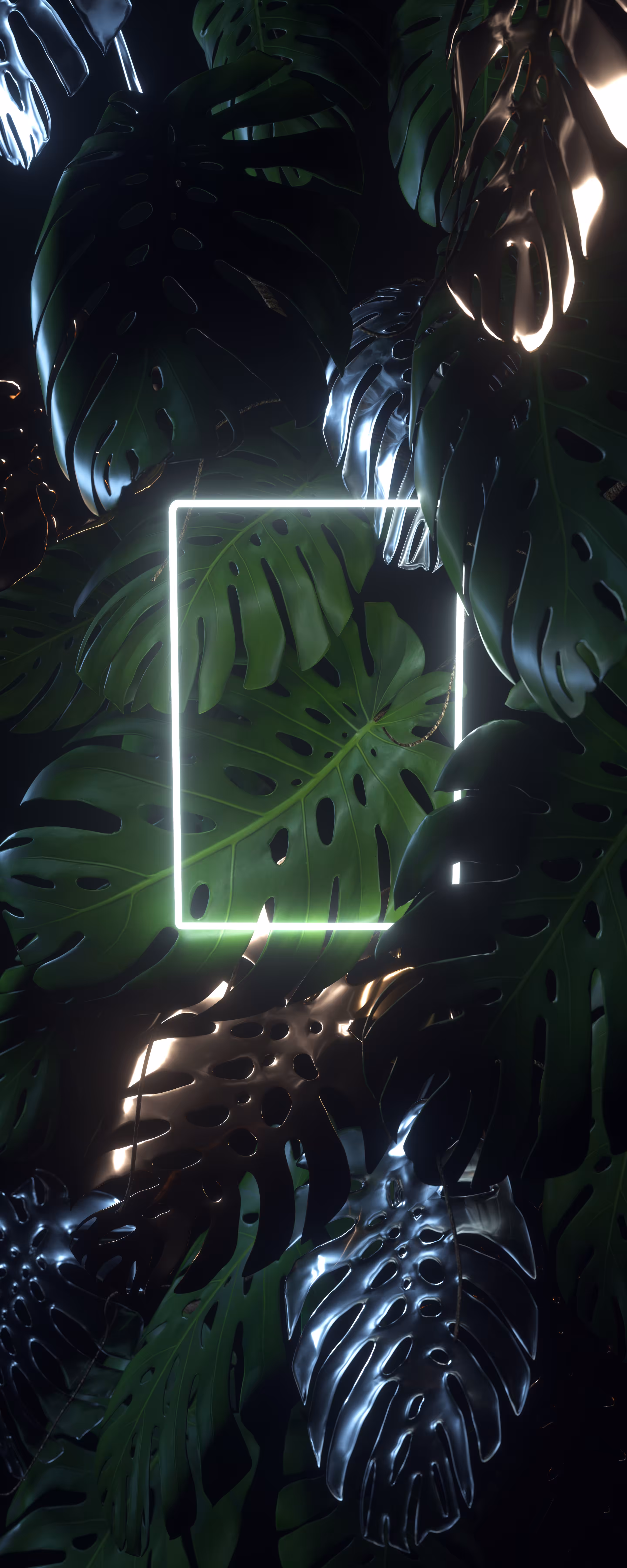 Botanica | 01