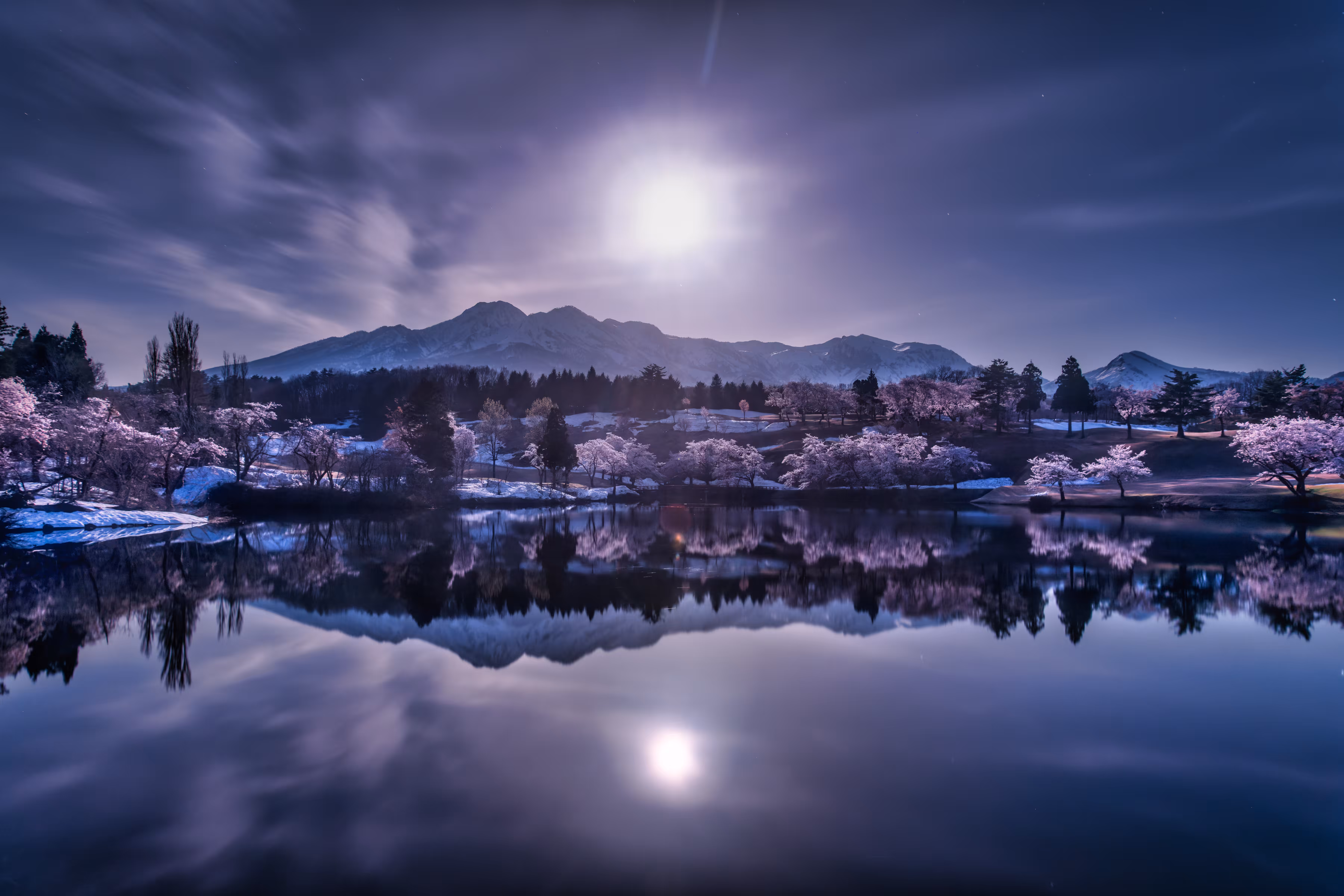 Under the moonlight