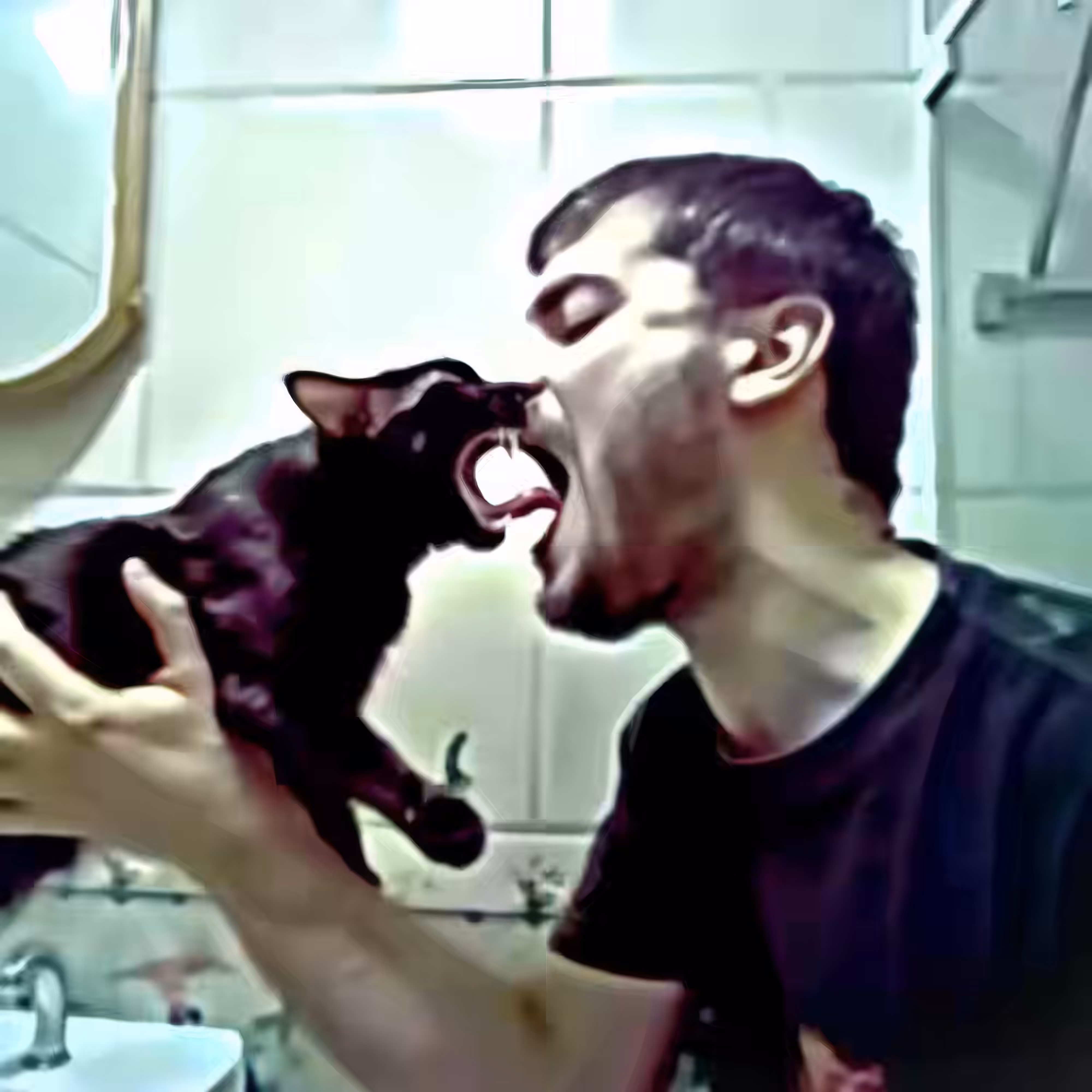 Feline-Fusion