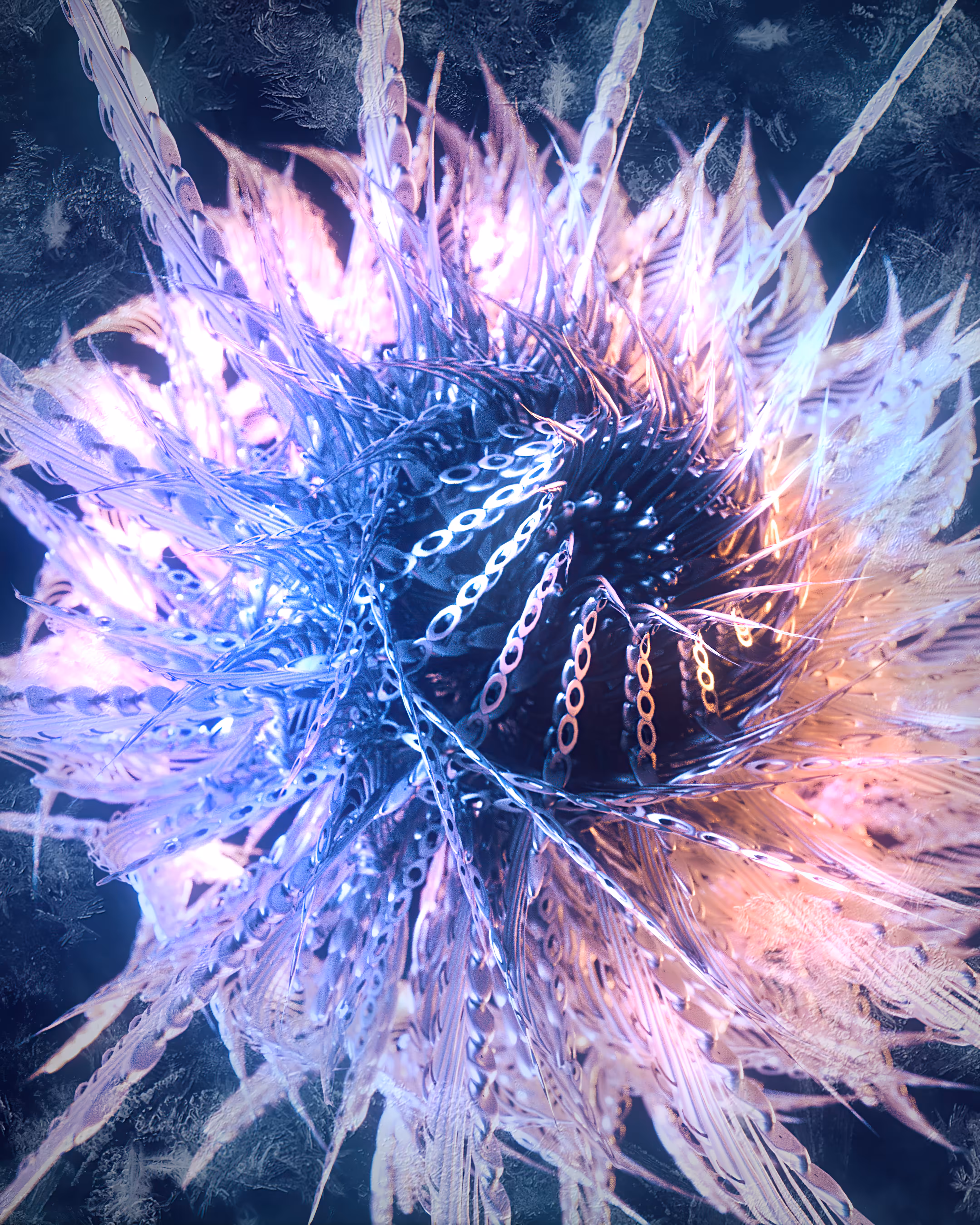 Bewitching Flower