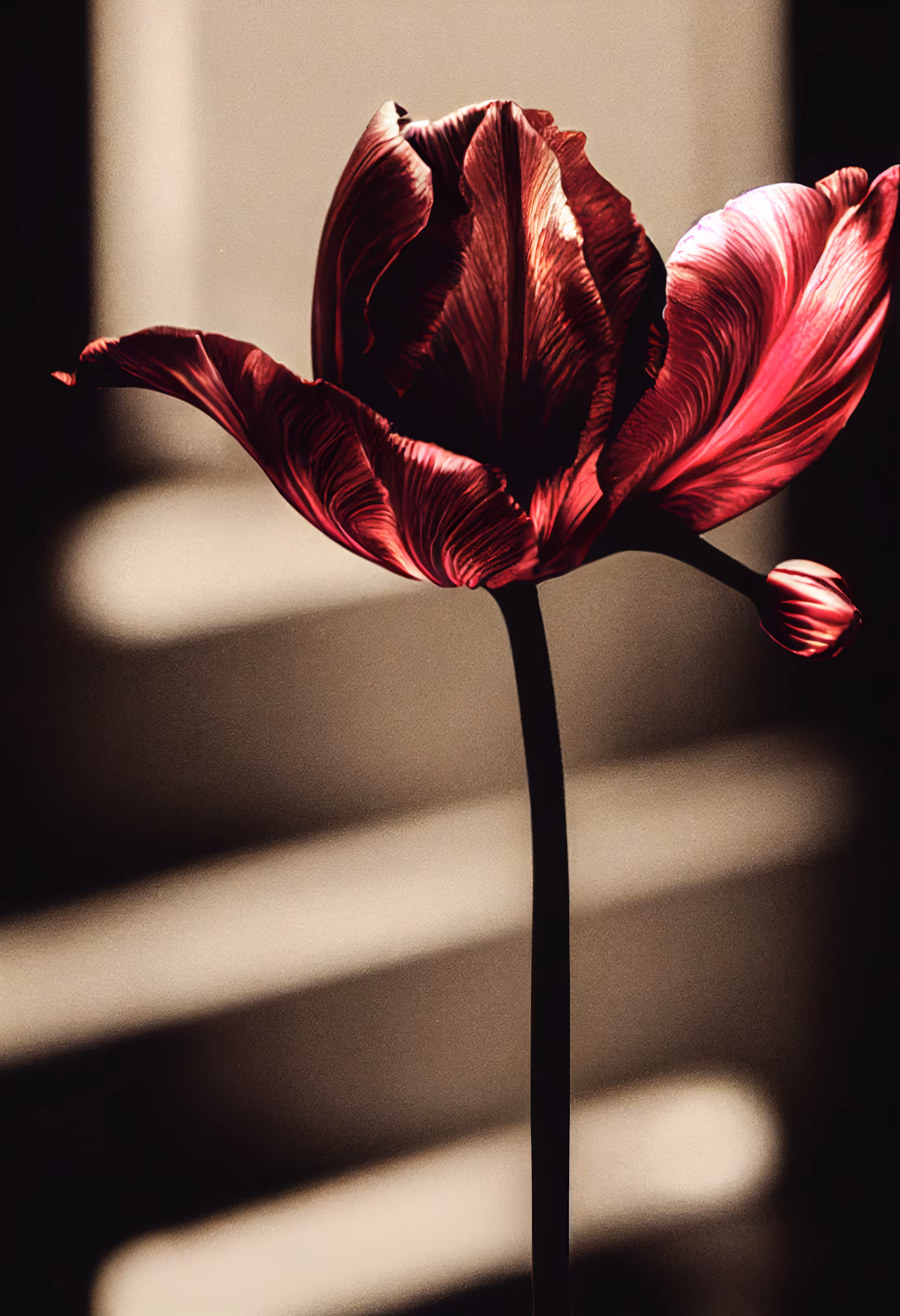 A Flower, Just For You. #230