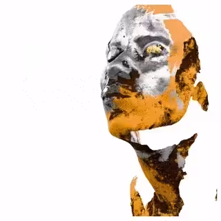 Junkyard Visages #001