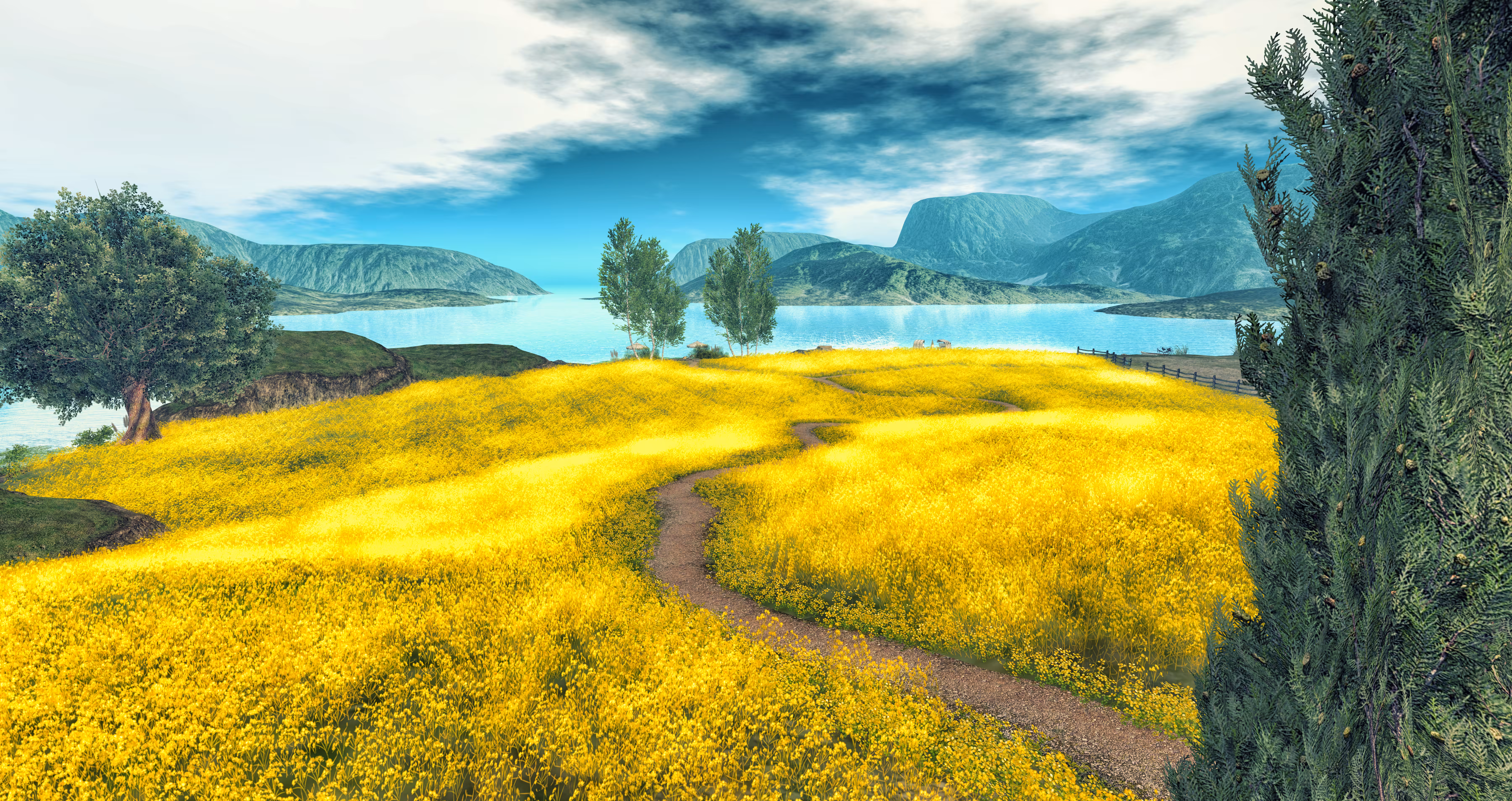 The Fields