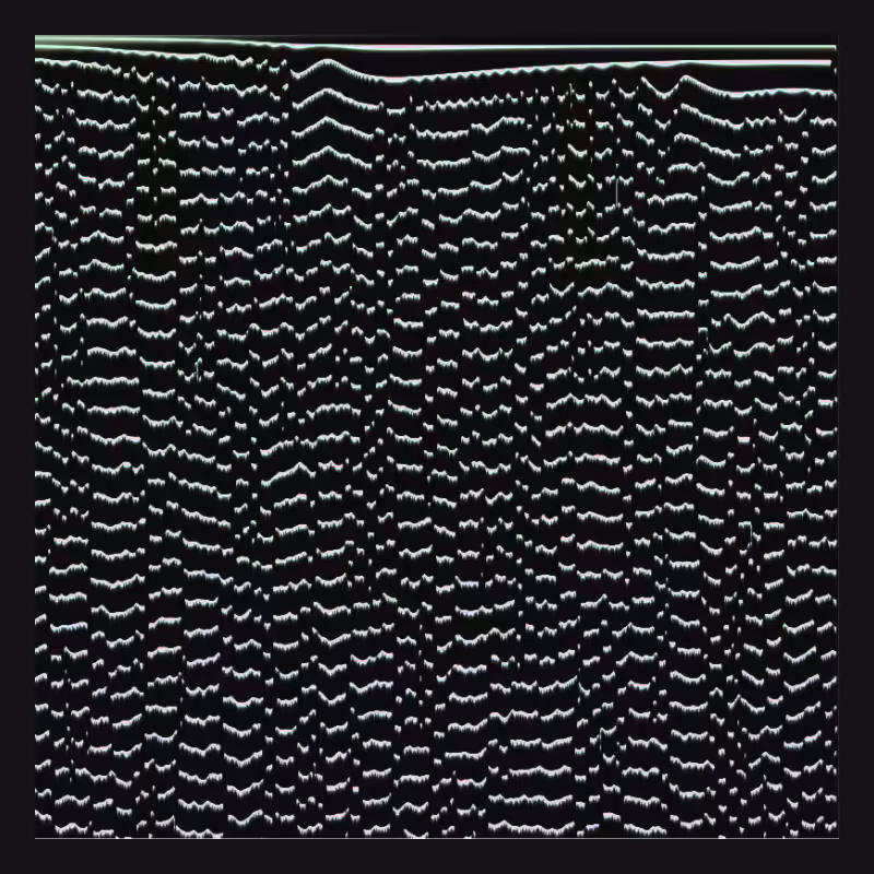 LandWaves #285