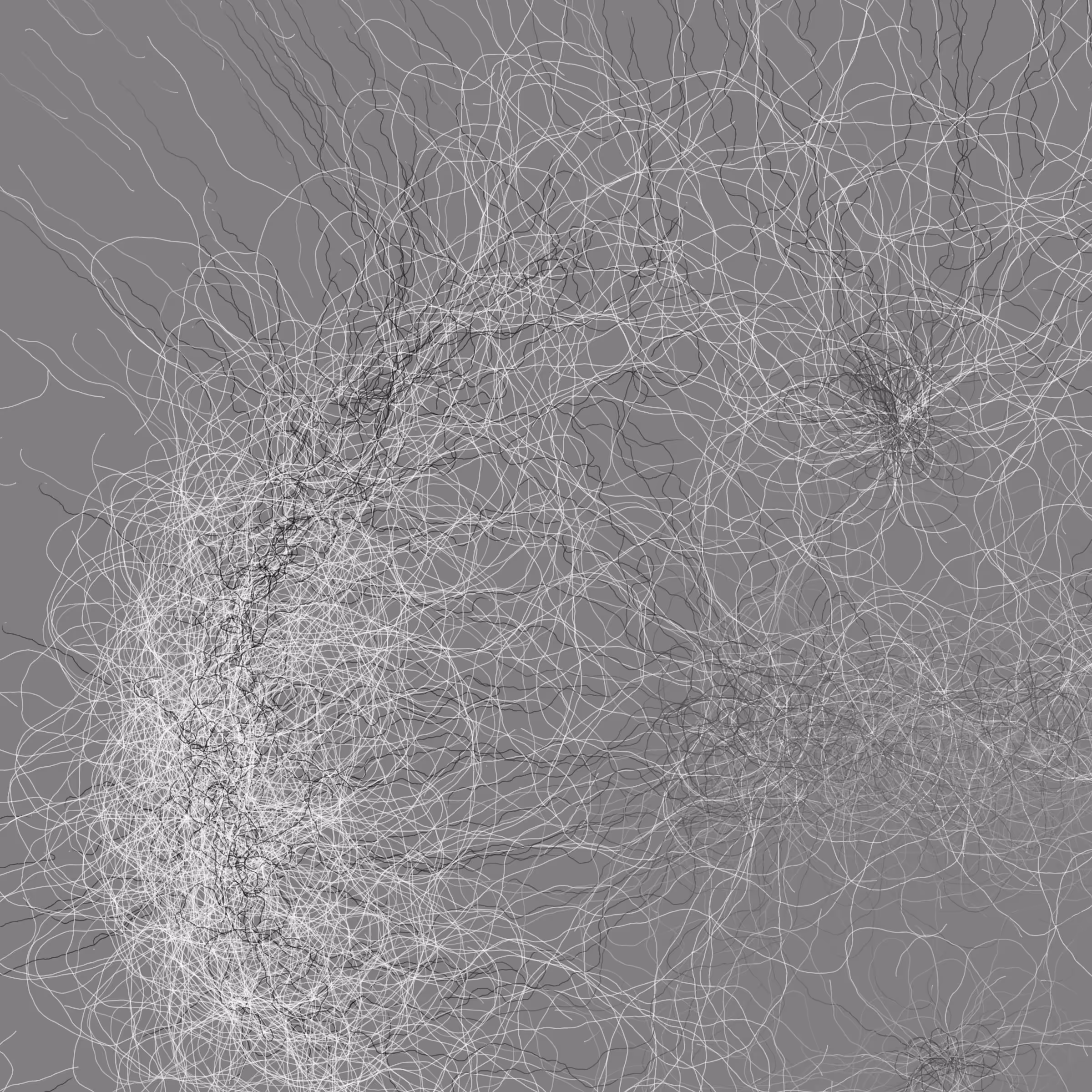 Phototaxis #39
