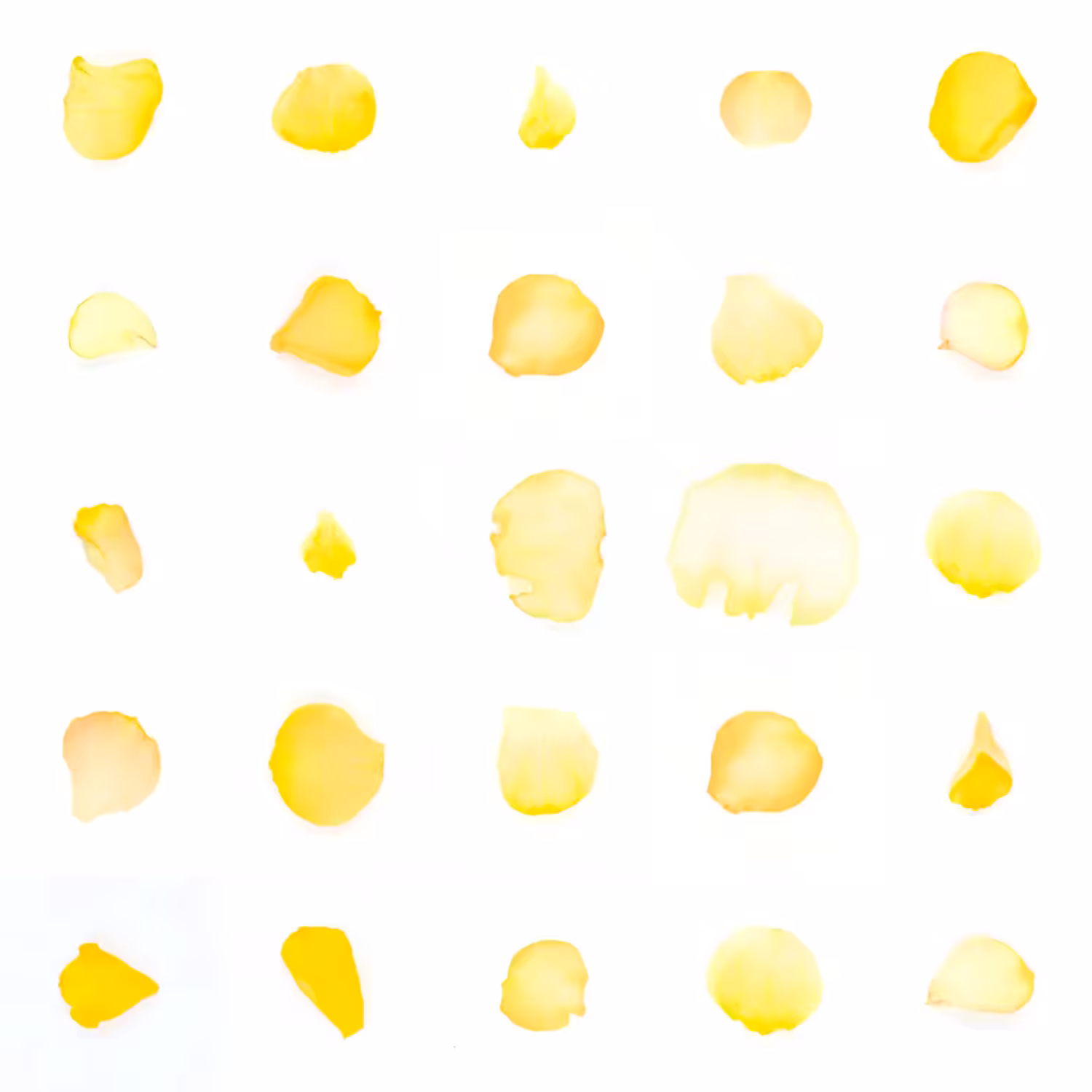 Infinite Petals 5x5#450