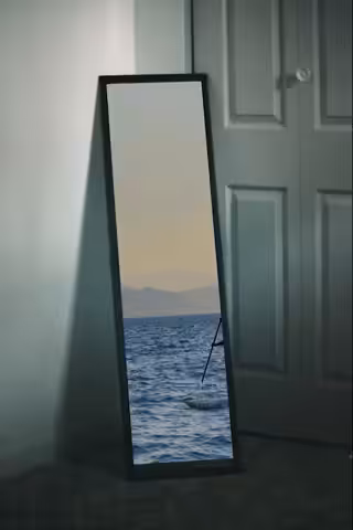 Mirror #1