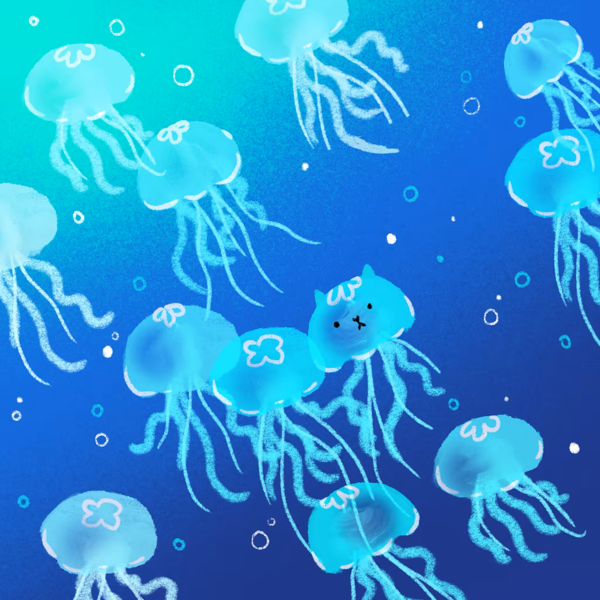 Jellyfish 🪼