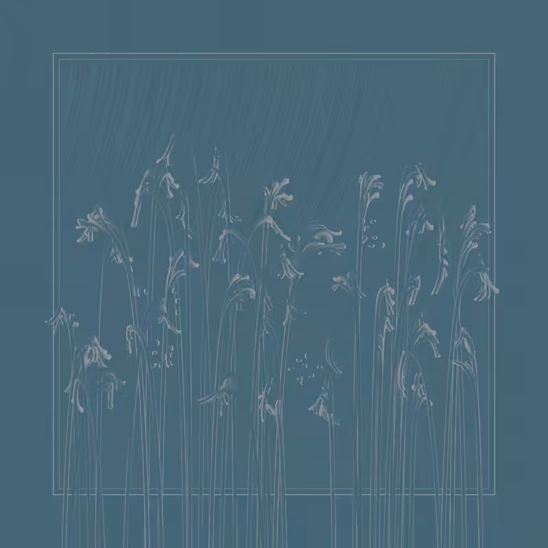 string_pllu #26