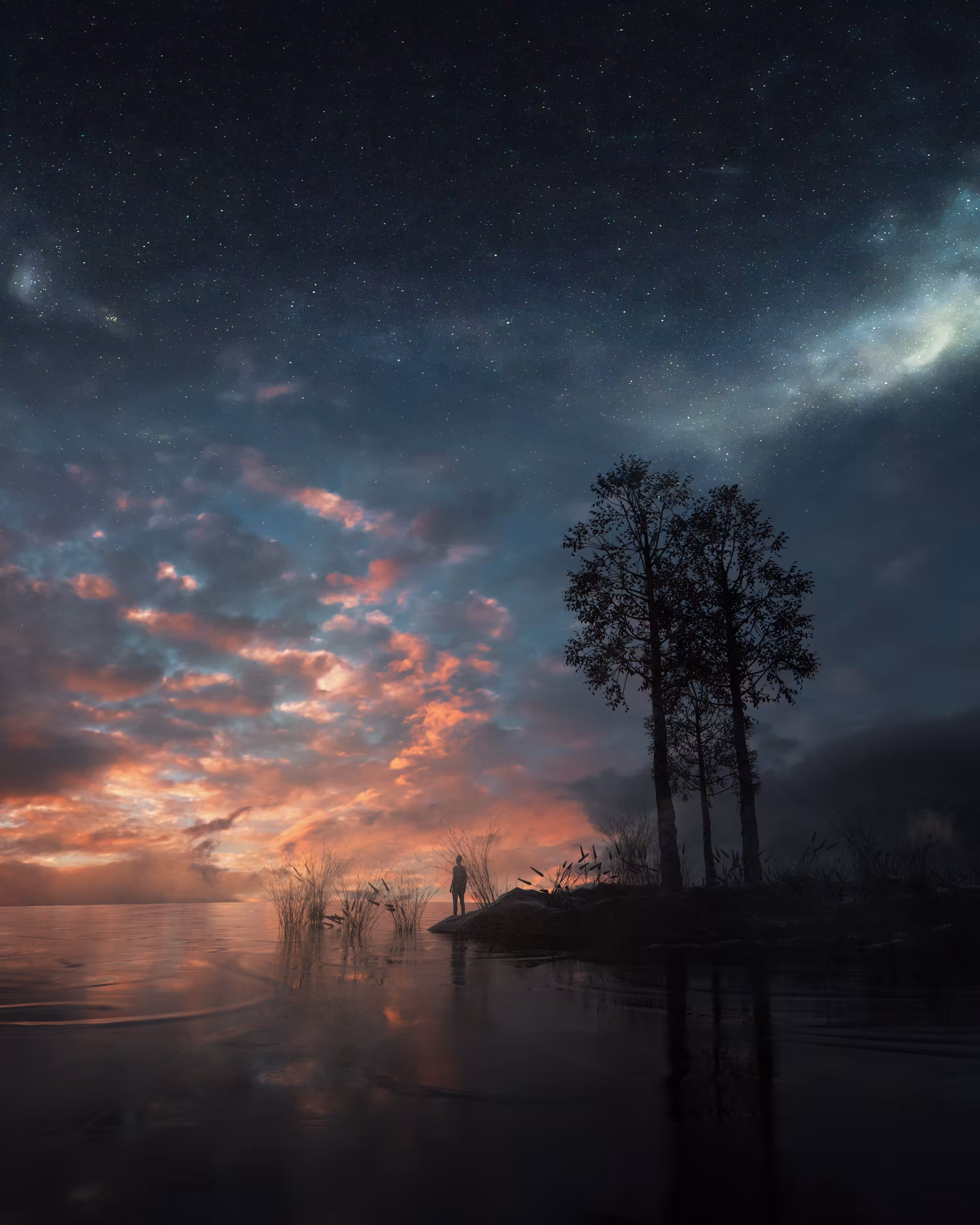 Bay of stars.