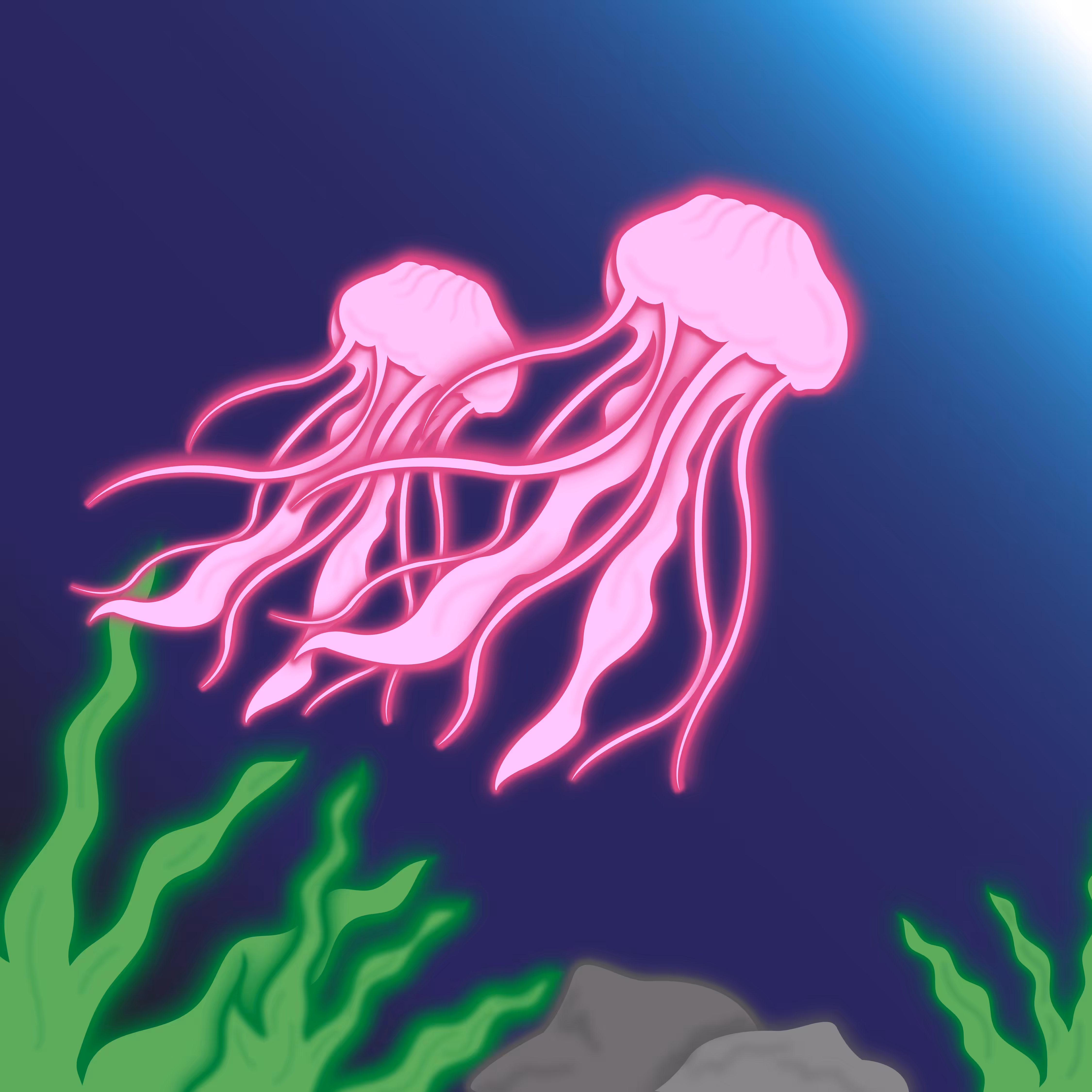 Jellyfish