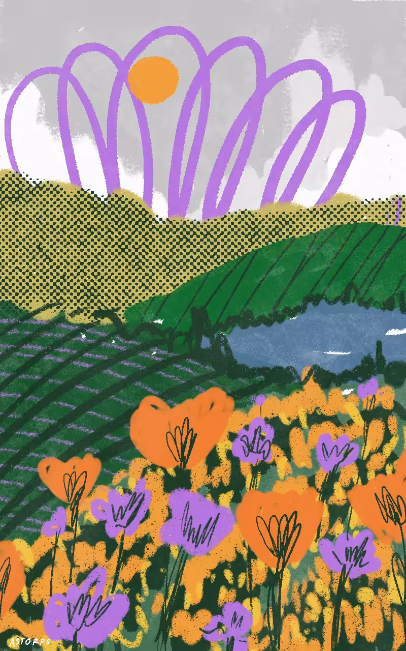 Flower series #01