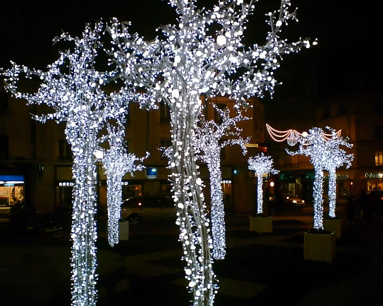 Arbres de nuit