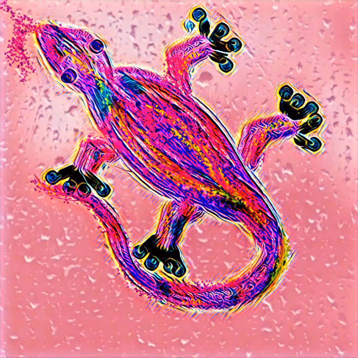 pINK Lizard
