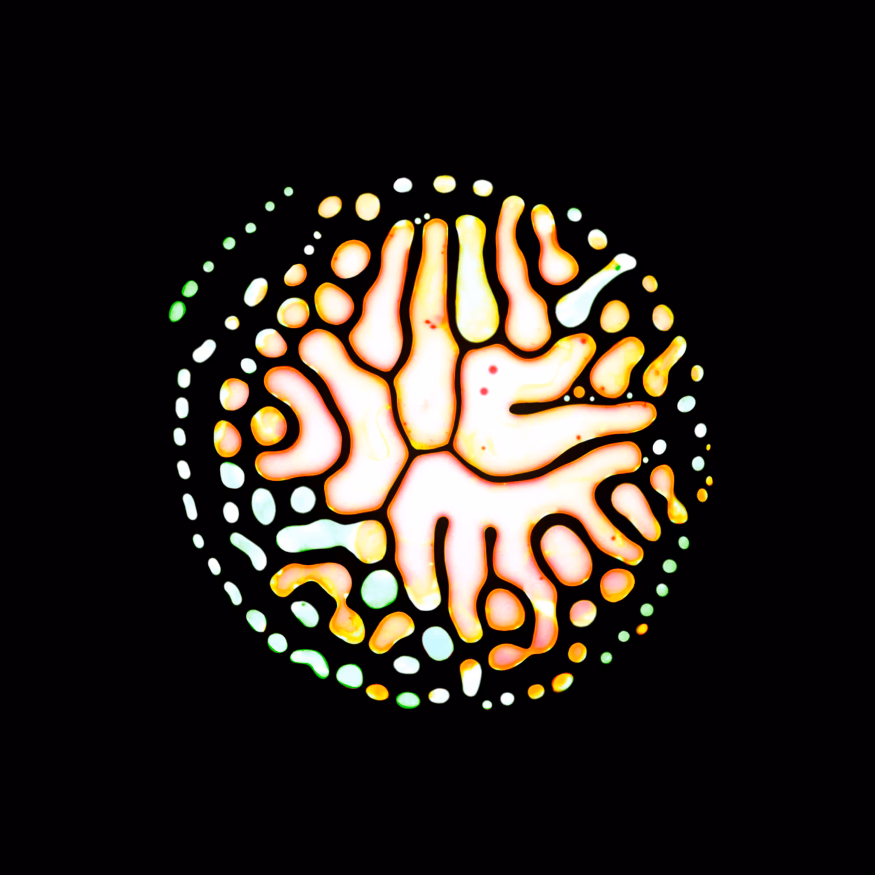 Haematopoiesis #230