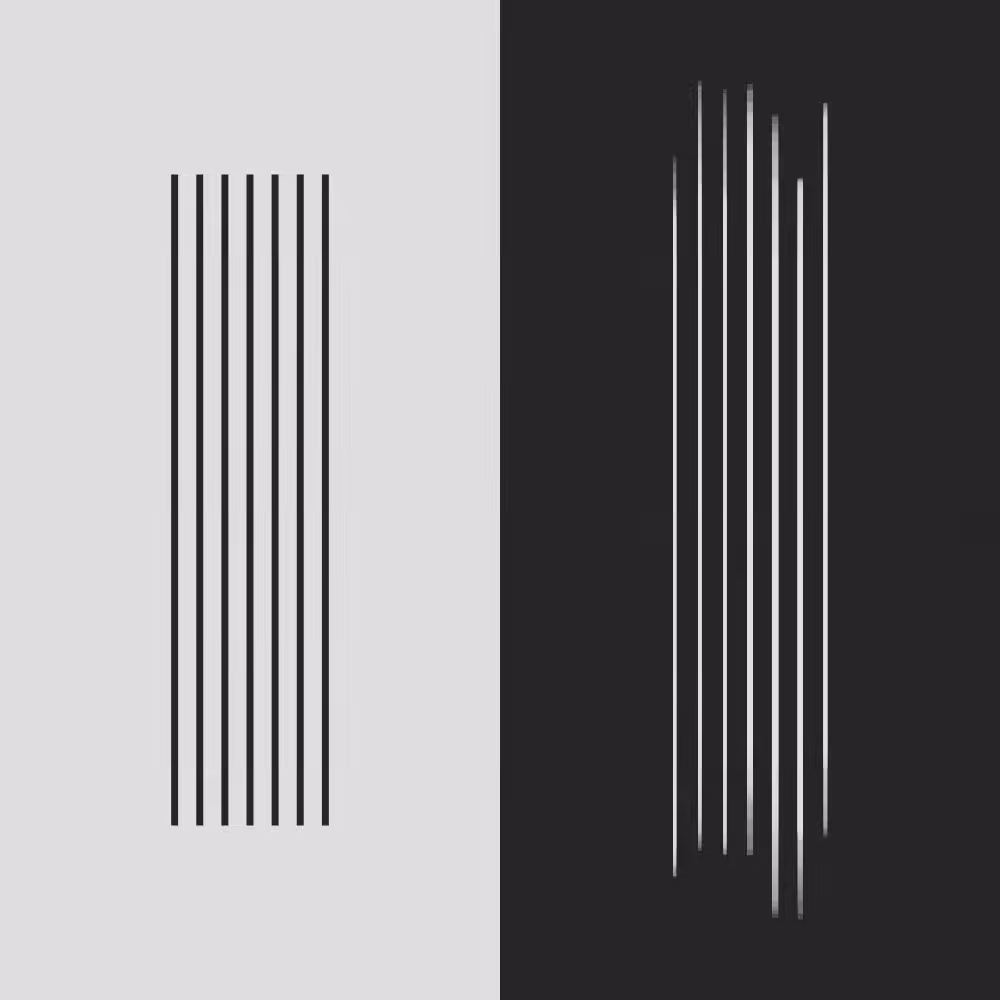 Echos #43