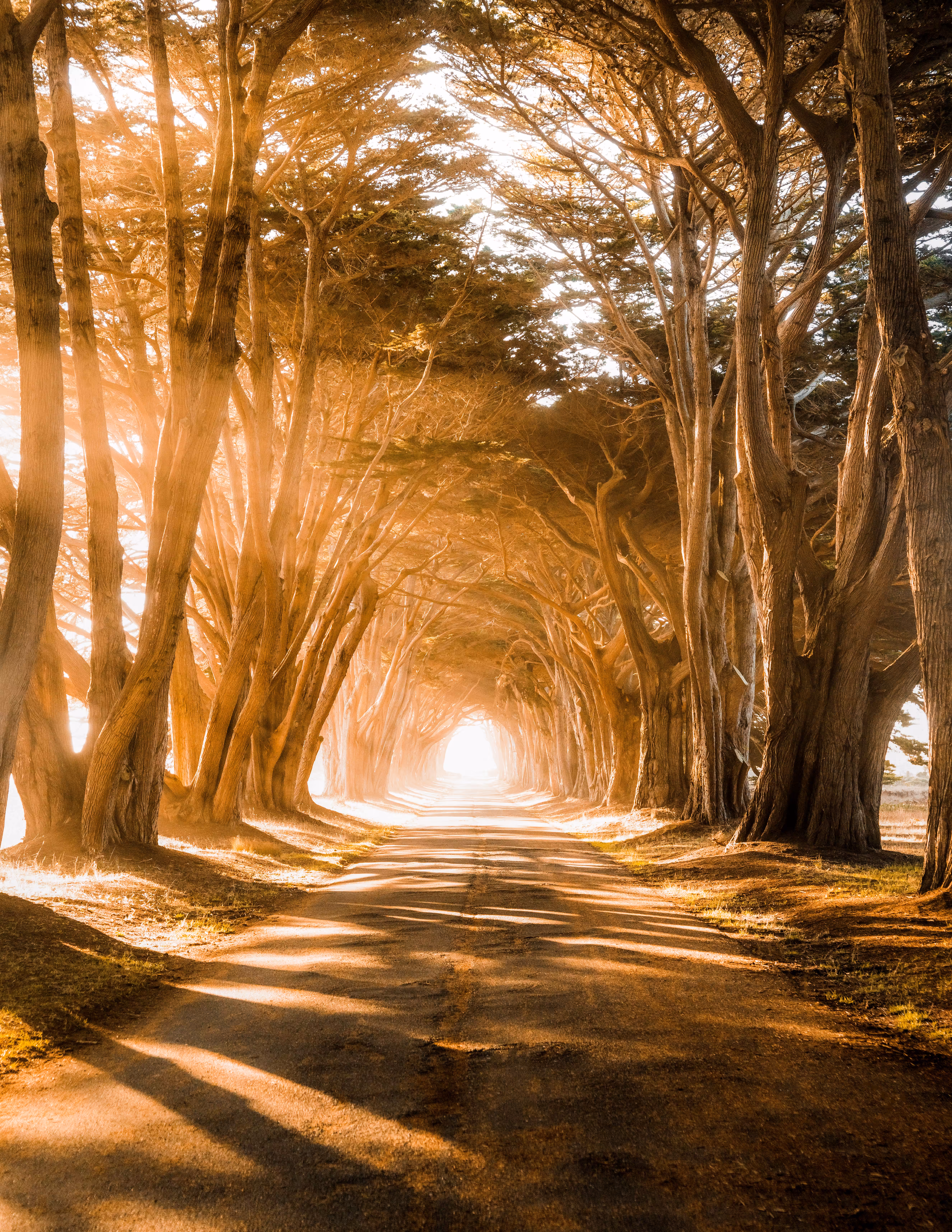 On The Right Path