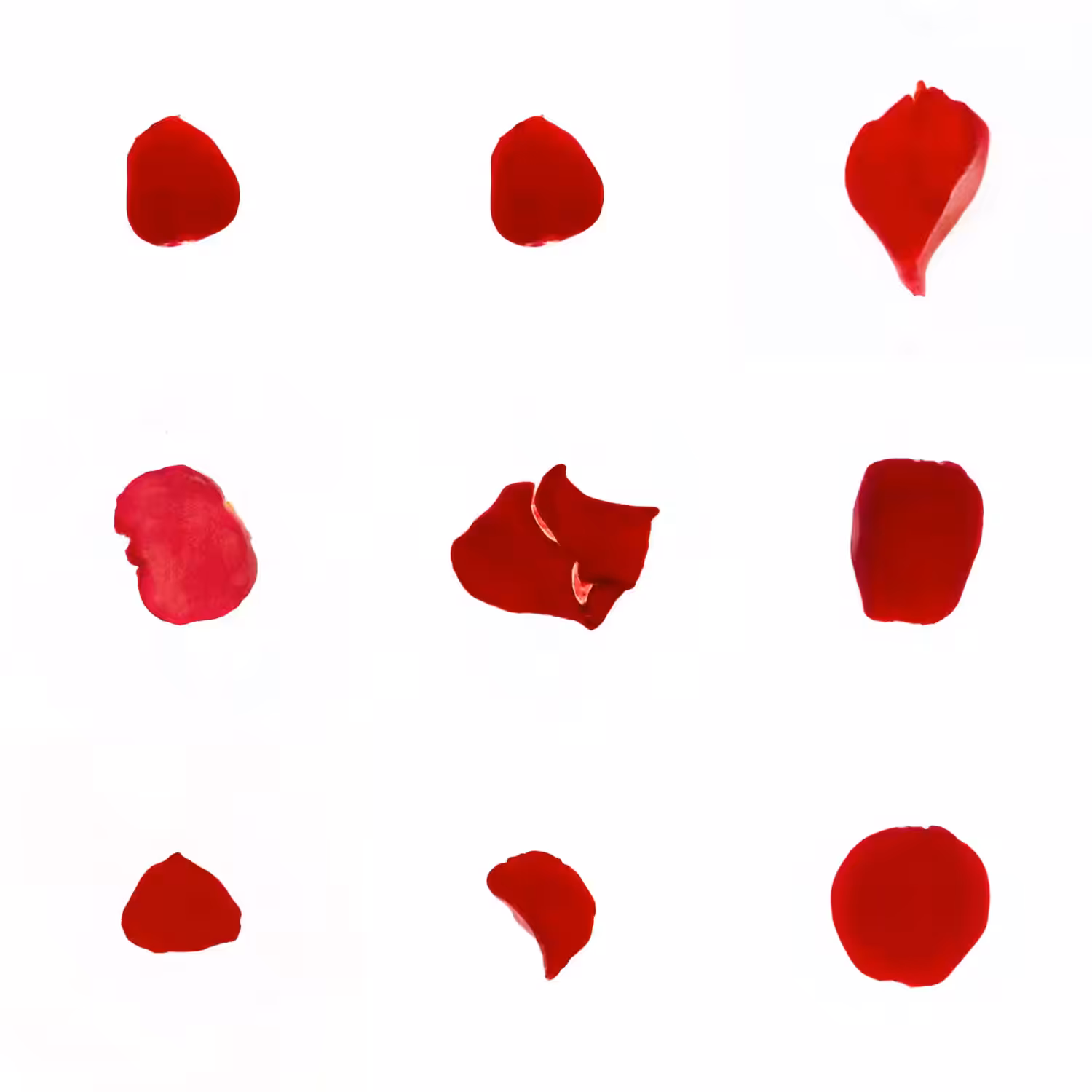 Infinite Petals 3x3#1489