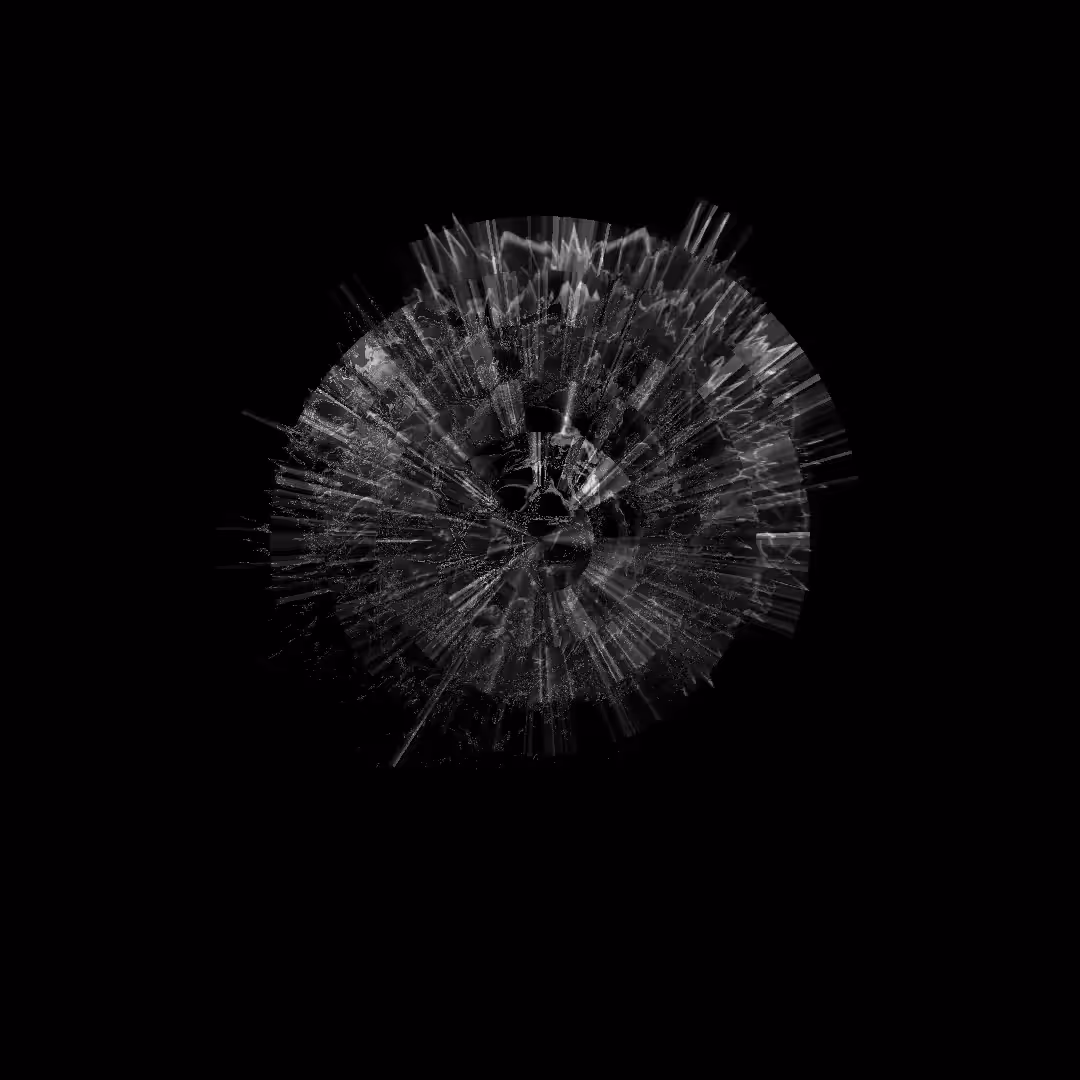 polar orbital evolution