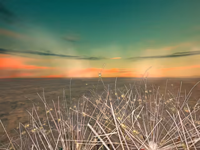 INNER GLOW - MP4-ig20/60