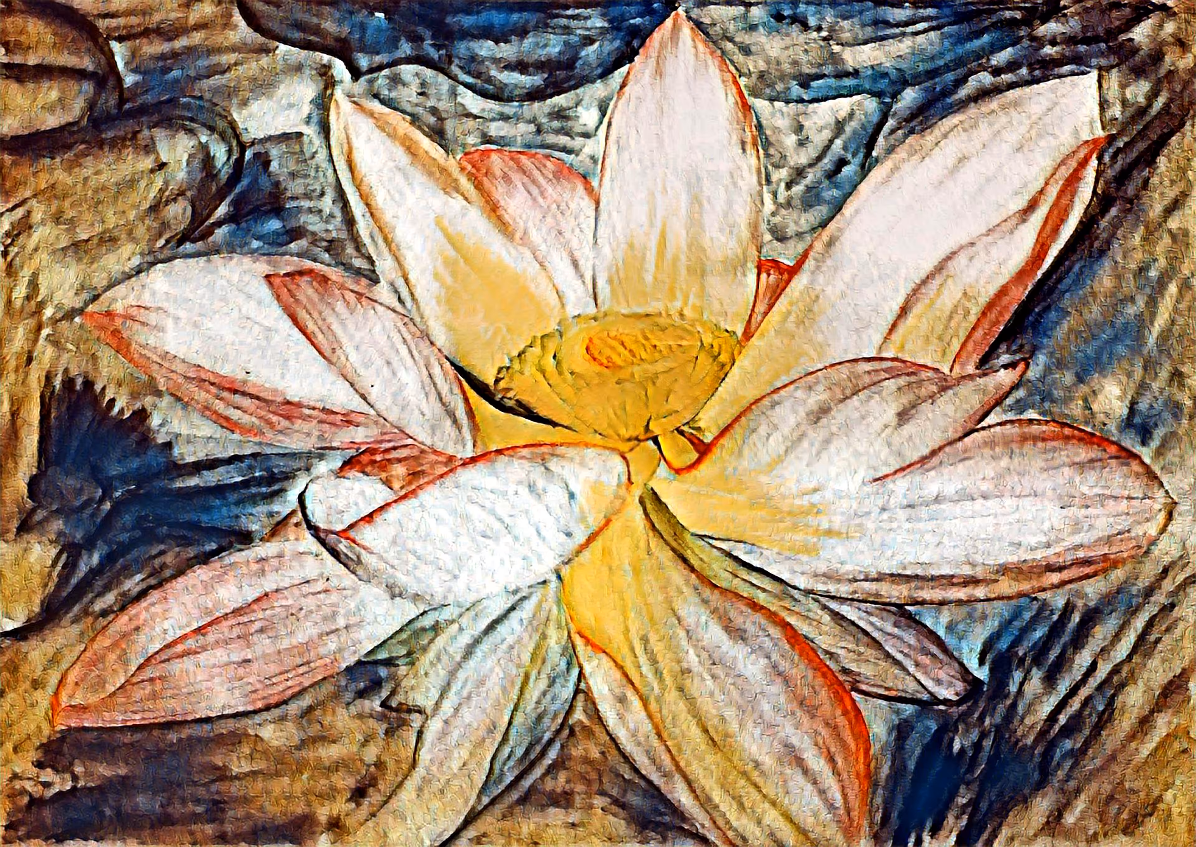 Nymphaea