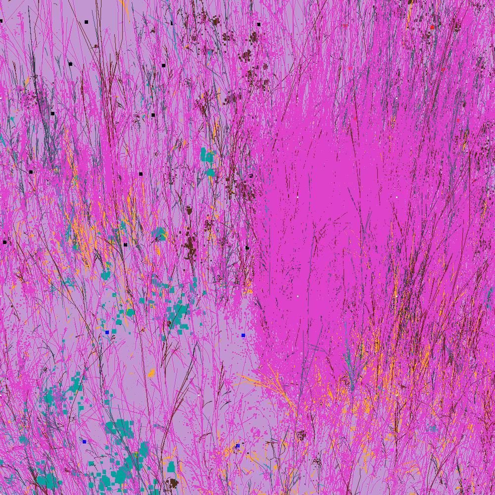 Infinite Garden: 50245 Flowers