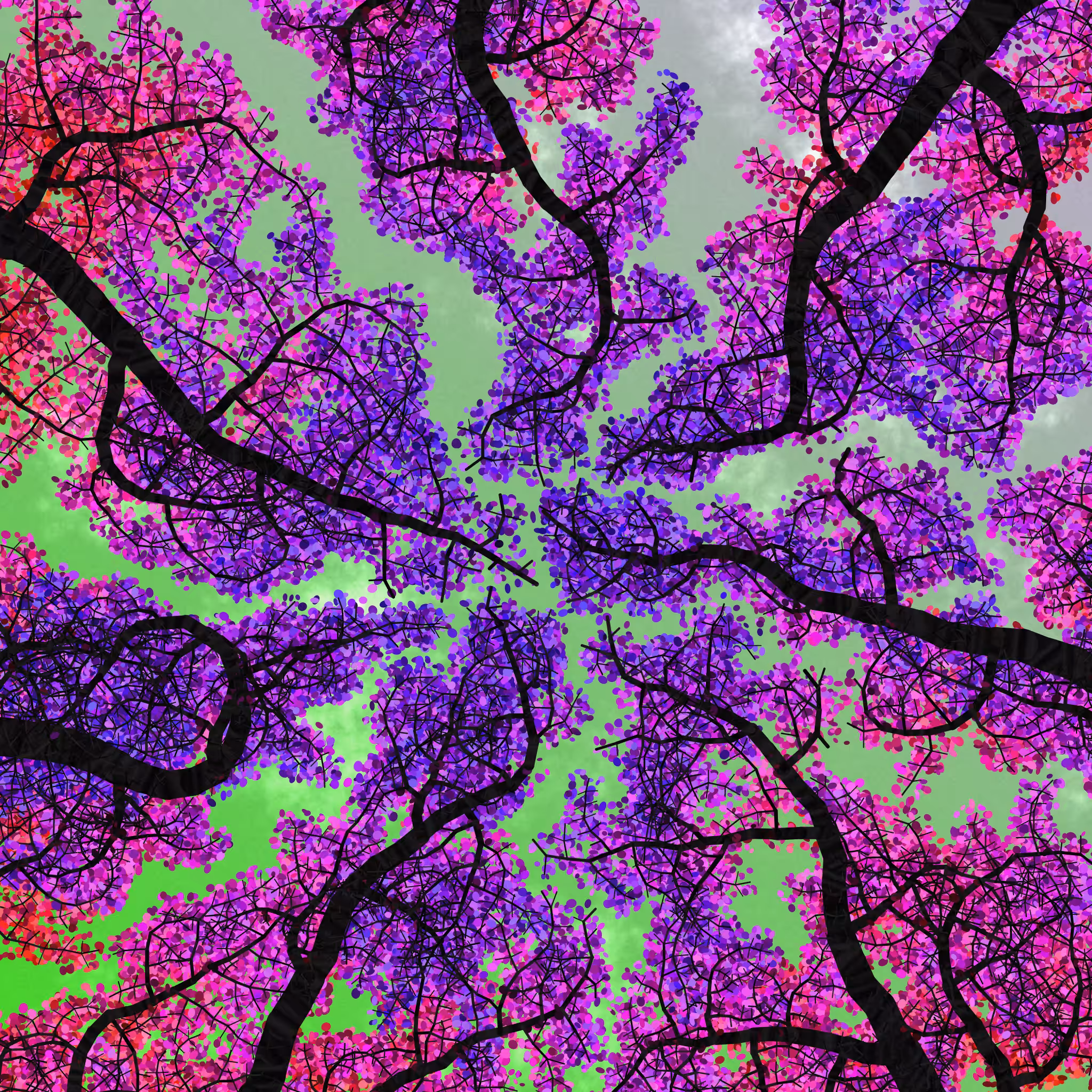 Tree Skyness #64