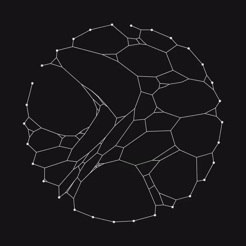 Elastic Web #304
