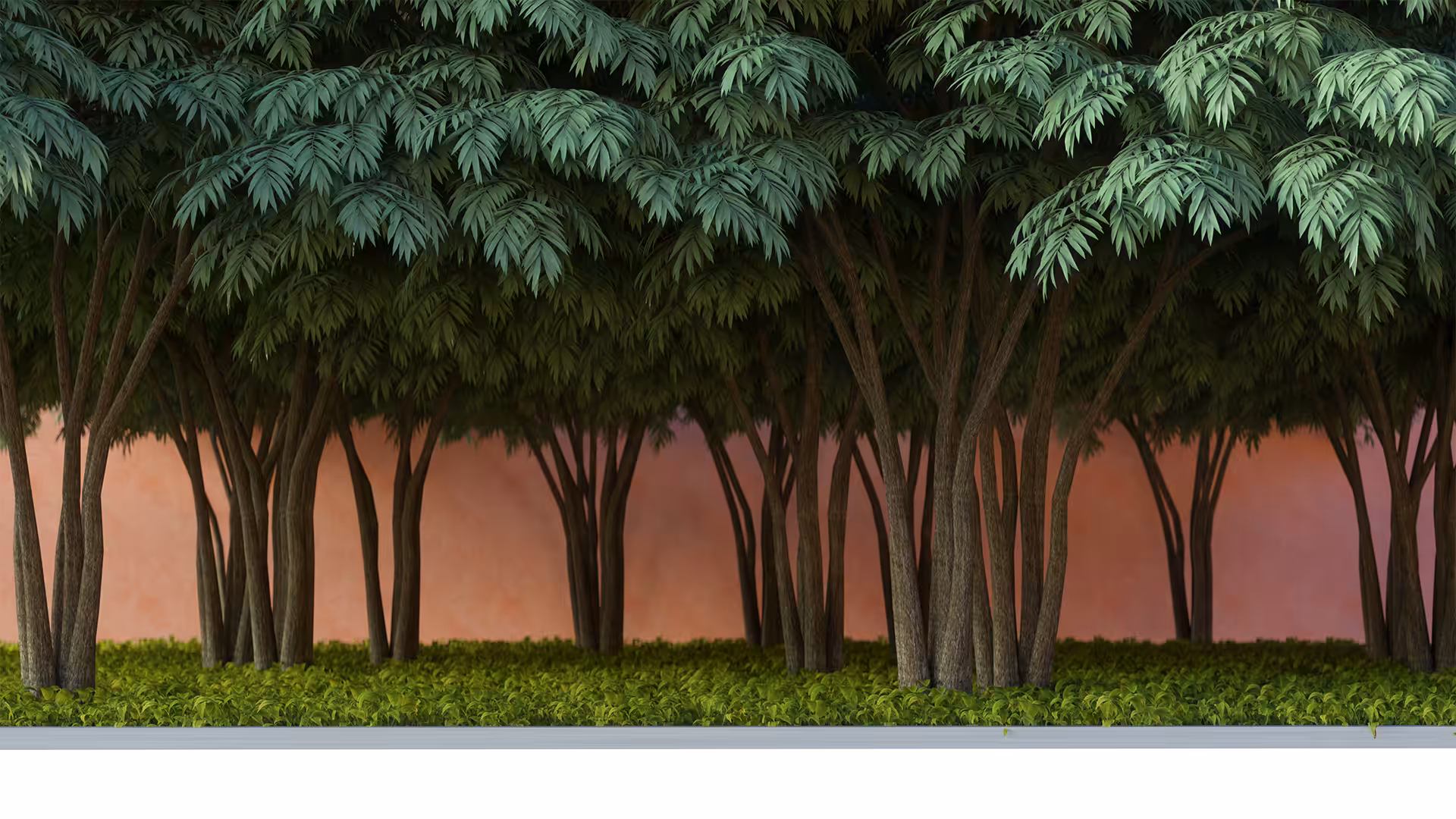 Trees