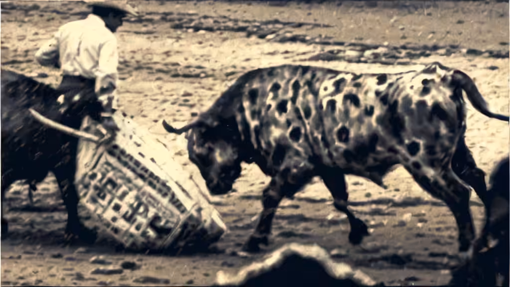 BULLRUN