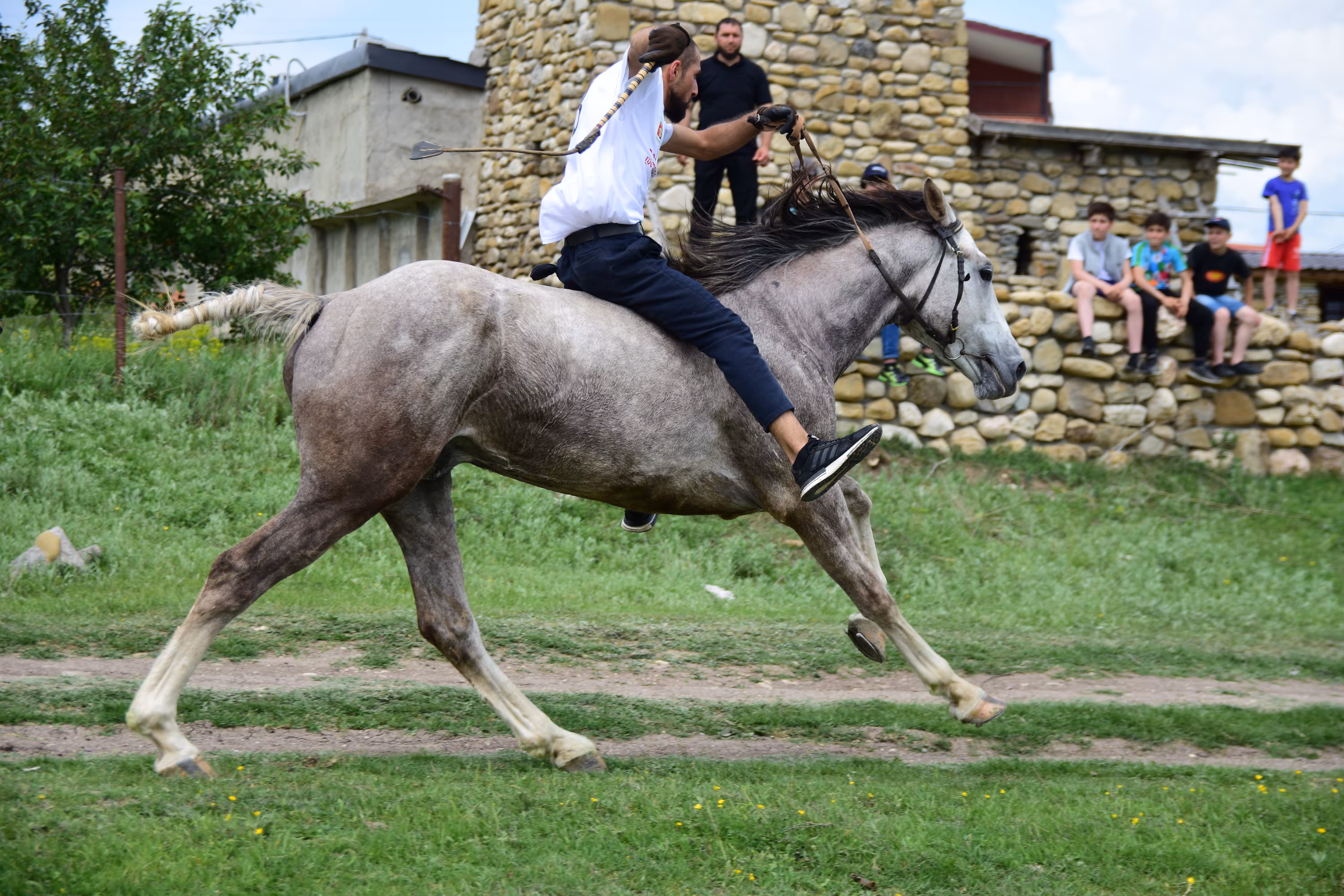 Horse Race 15