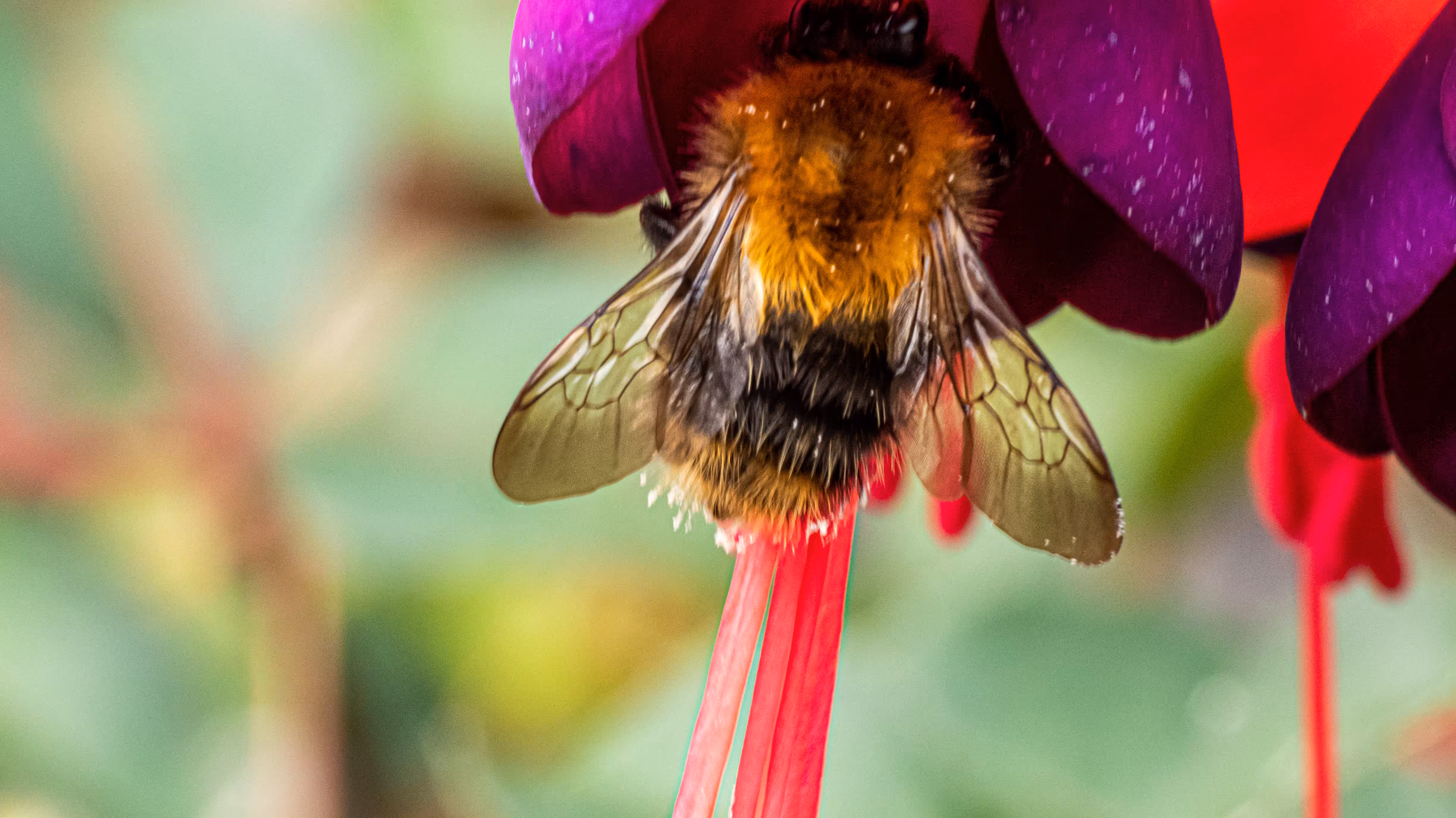 Simply Bee Yourself