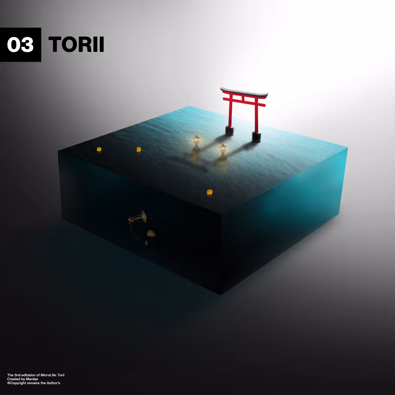 03 - TORII