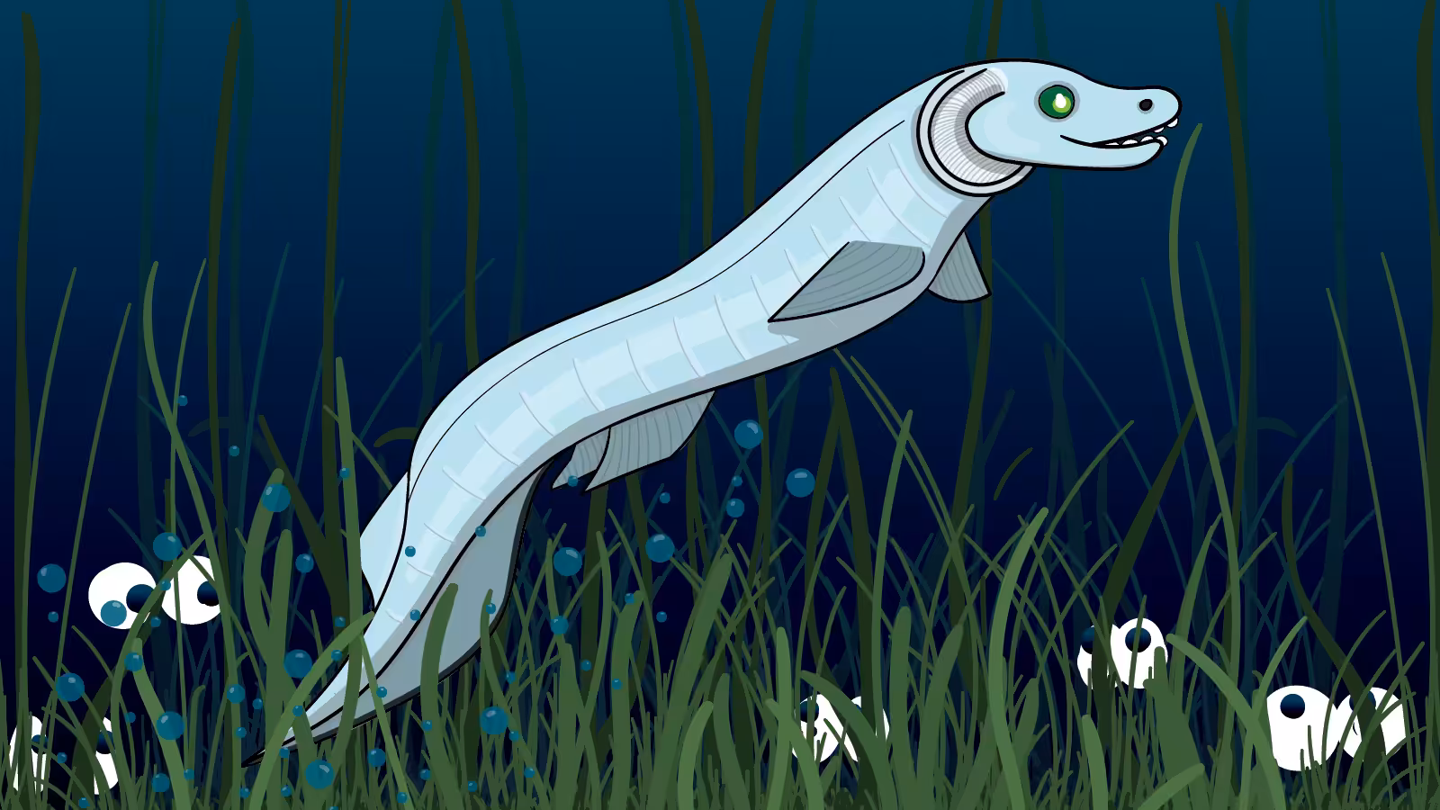 Octomints on Tez: Frilled Shark in the Deep