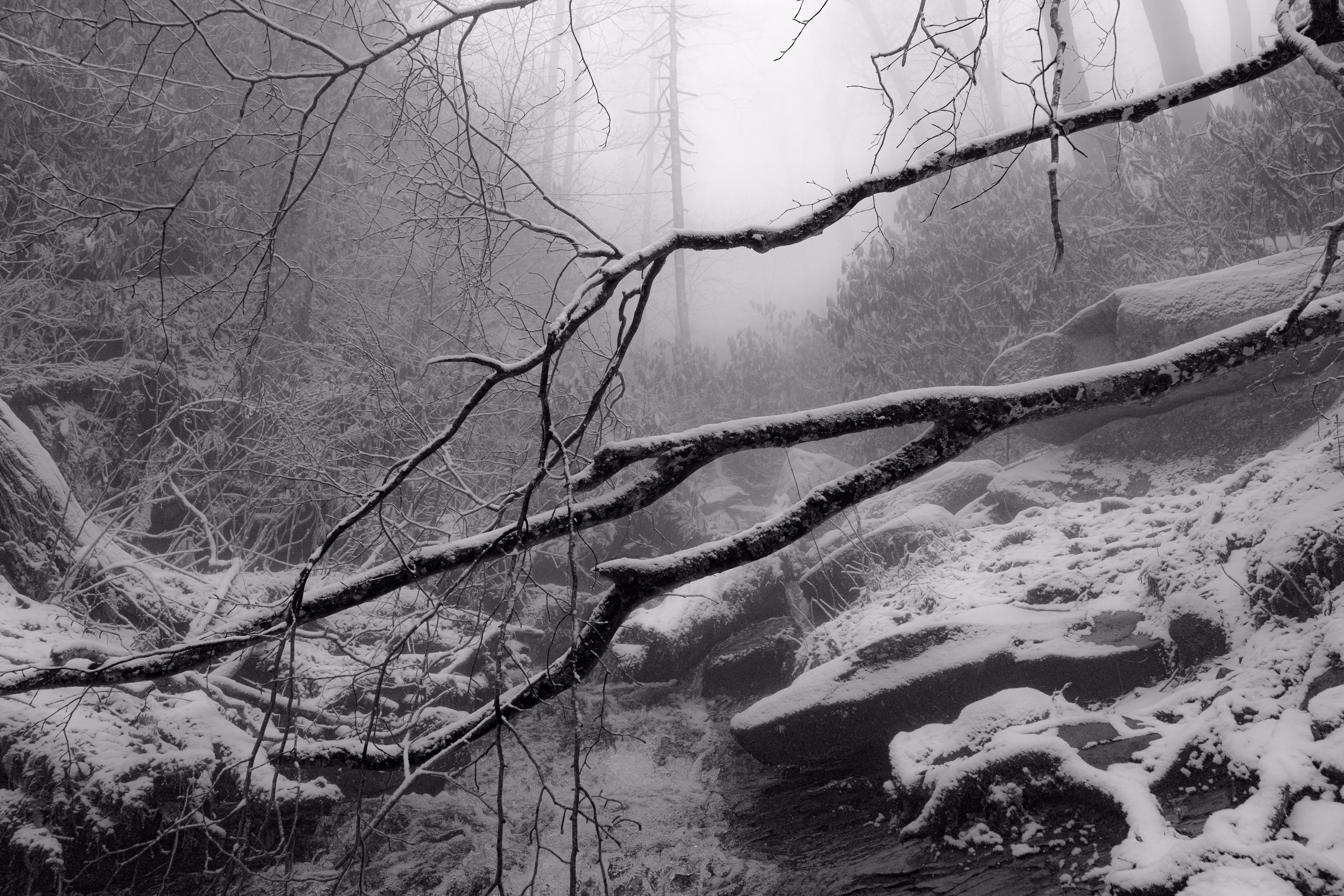 Winter Heart