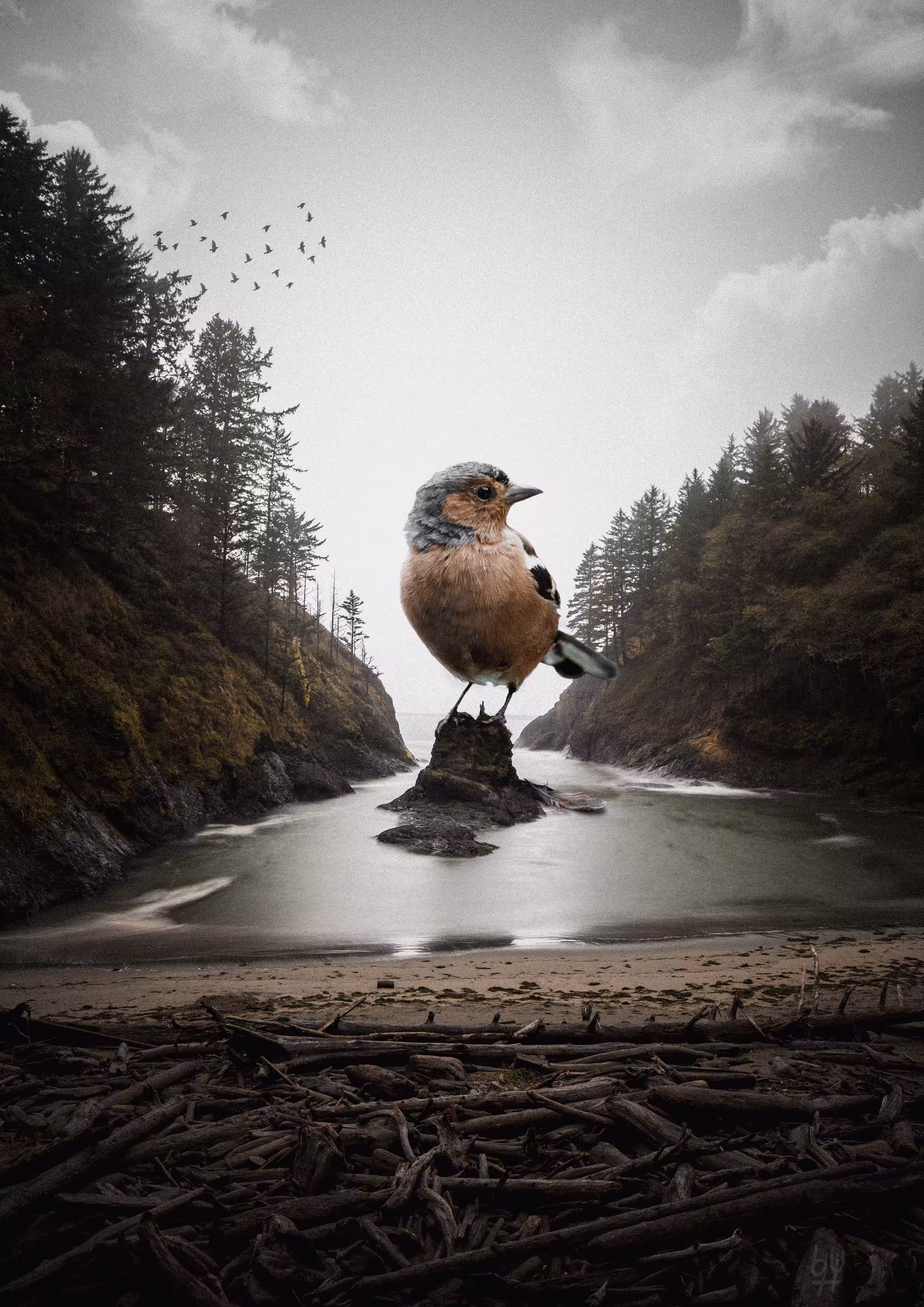 Big birb