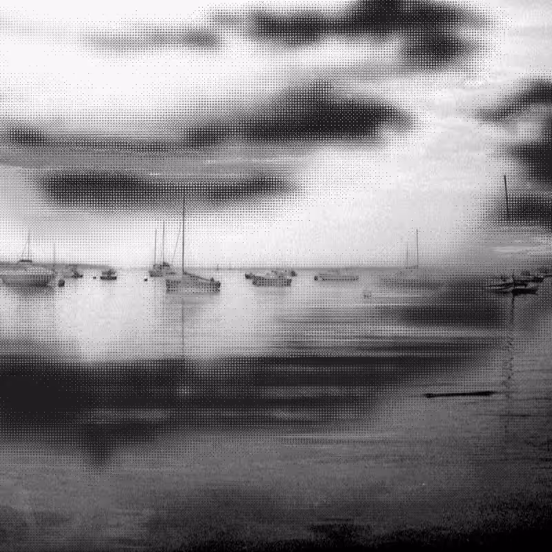 Scrambled Memories #65