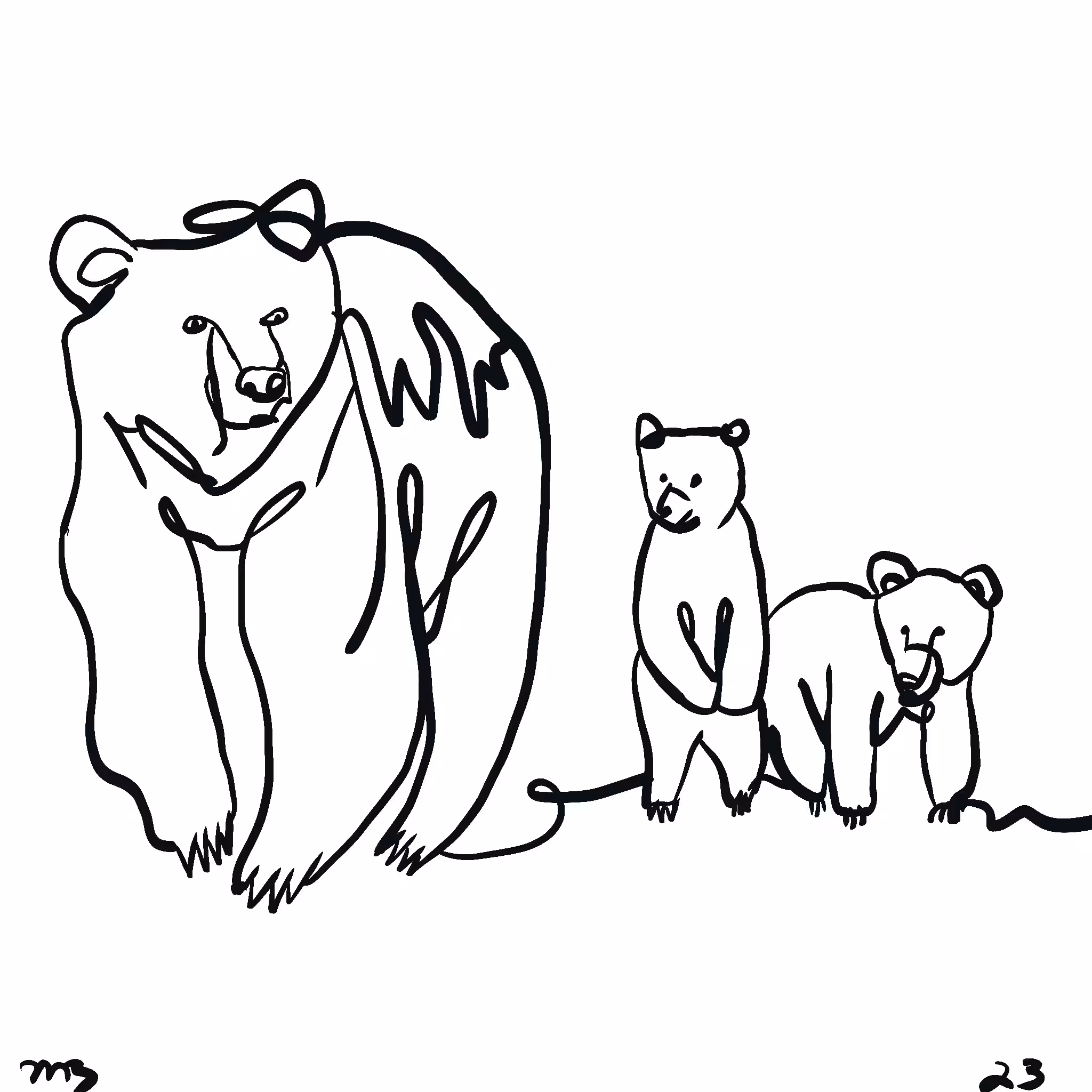 The bears