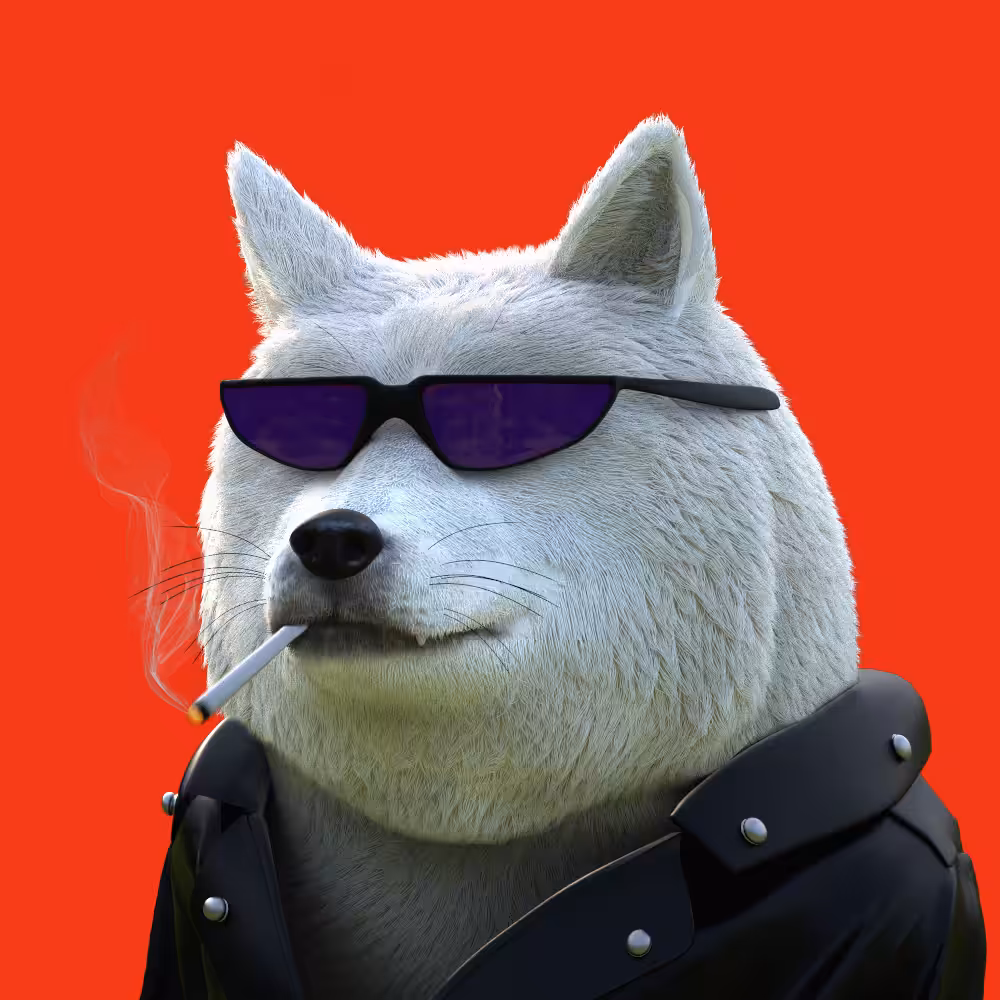 NakaDoges 3D #1
