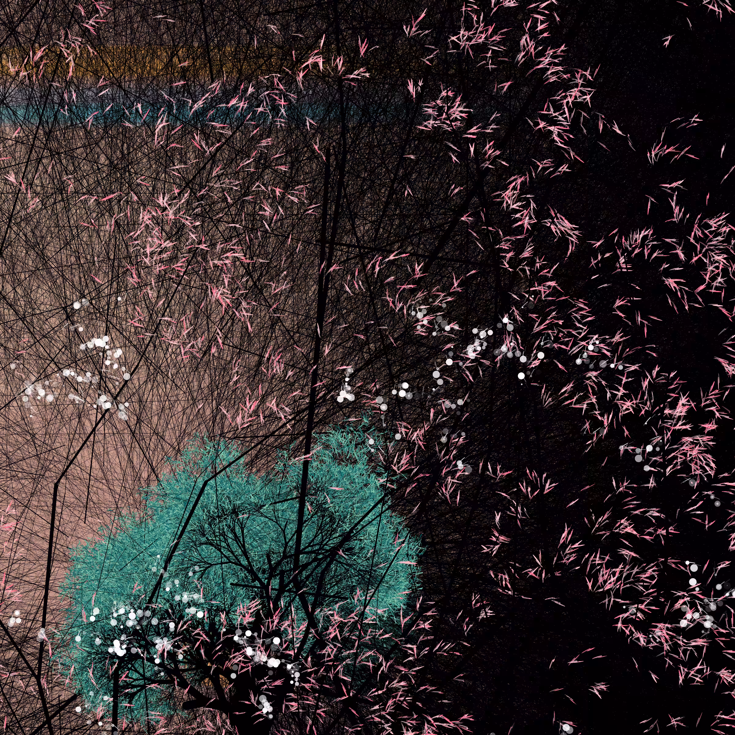 conversation with the wind #10