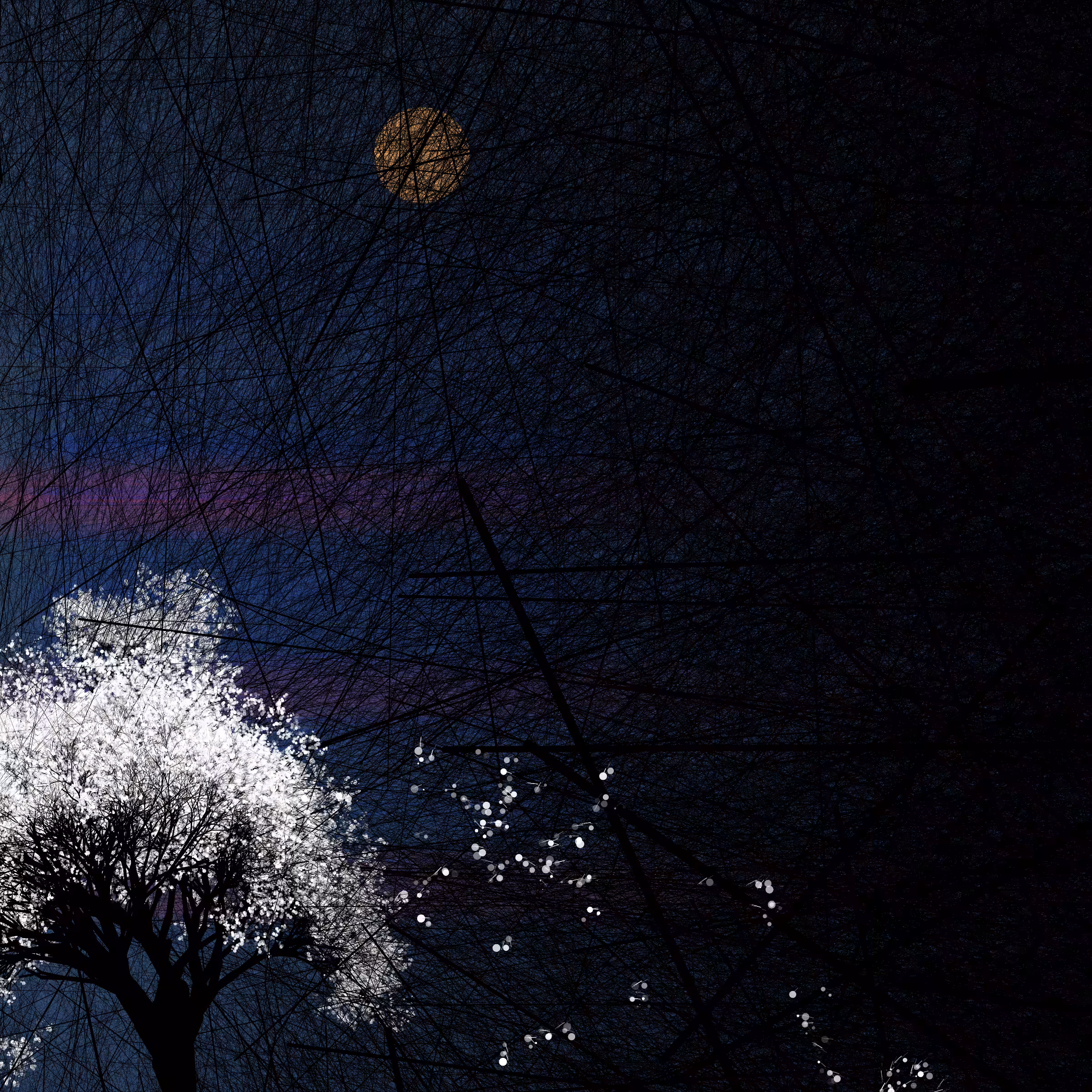 conversation with the wind #454