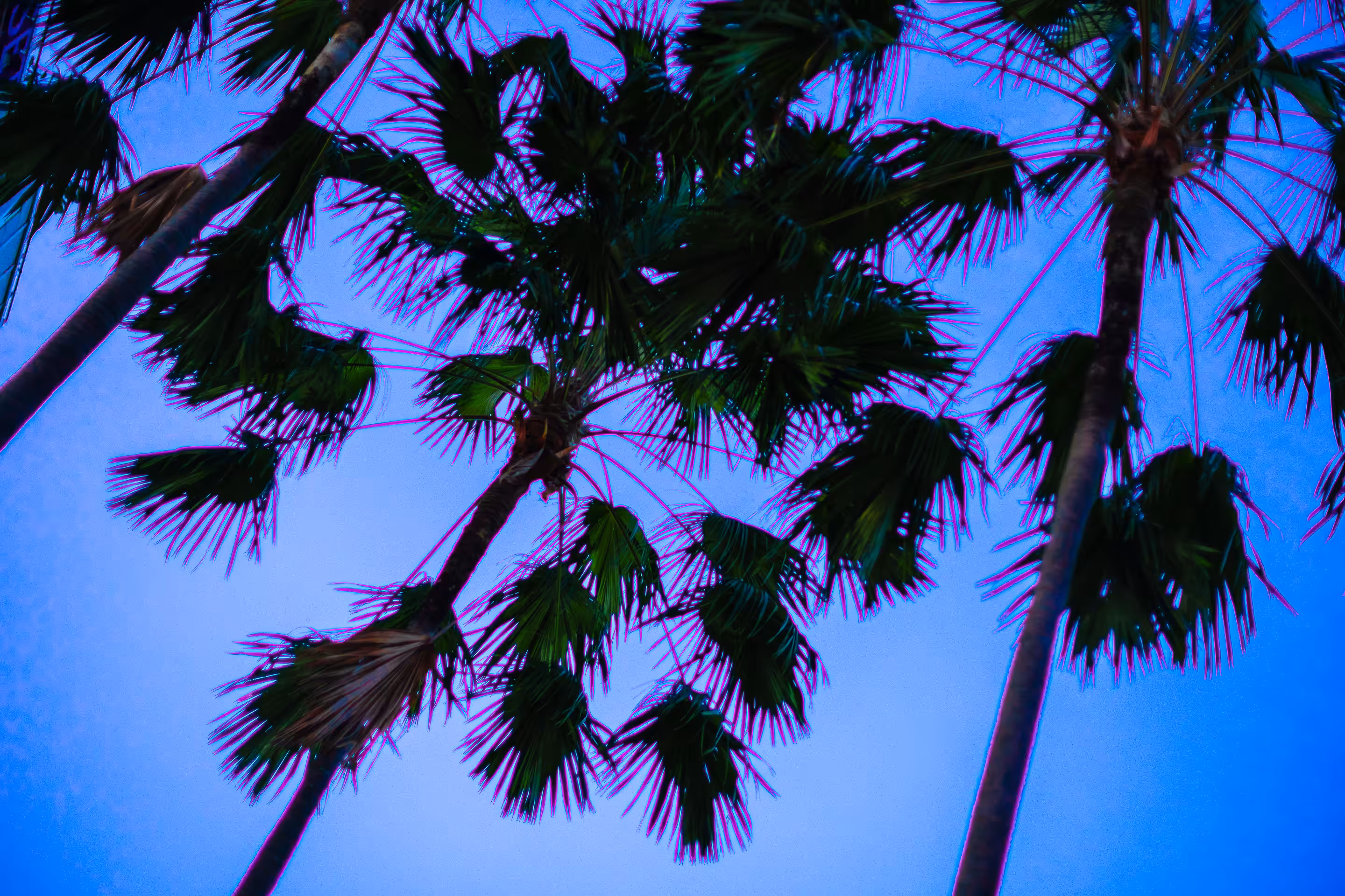 Looking up#high