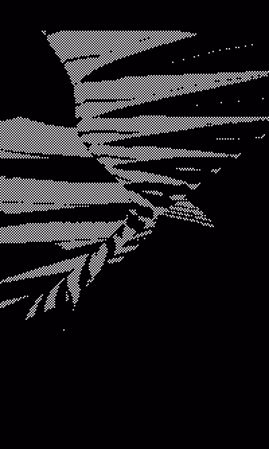 spine