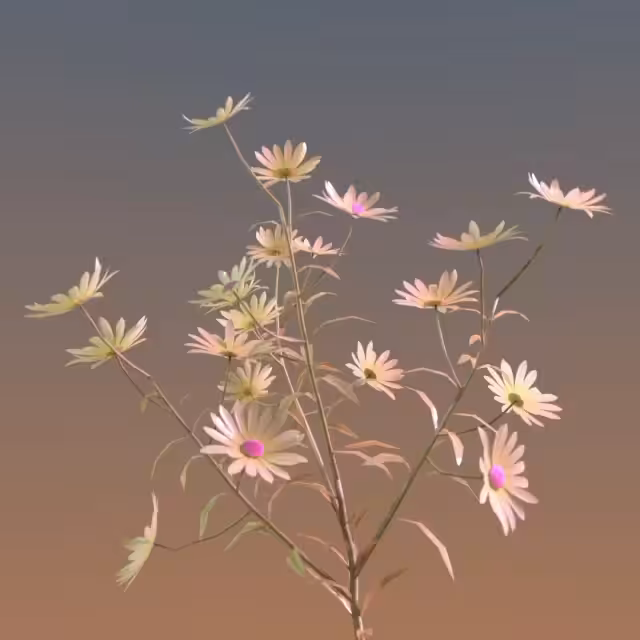 Flowers from Flatland