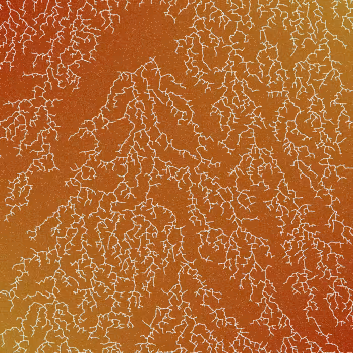 Frozen Windows #7