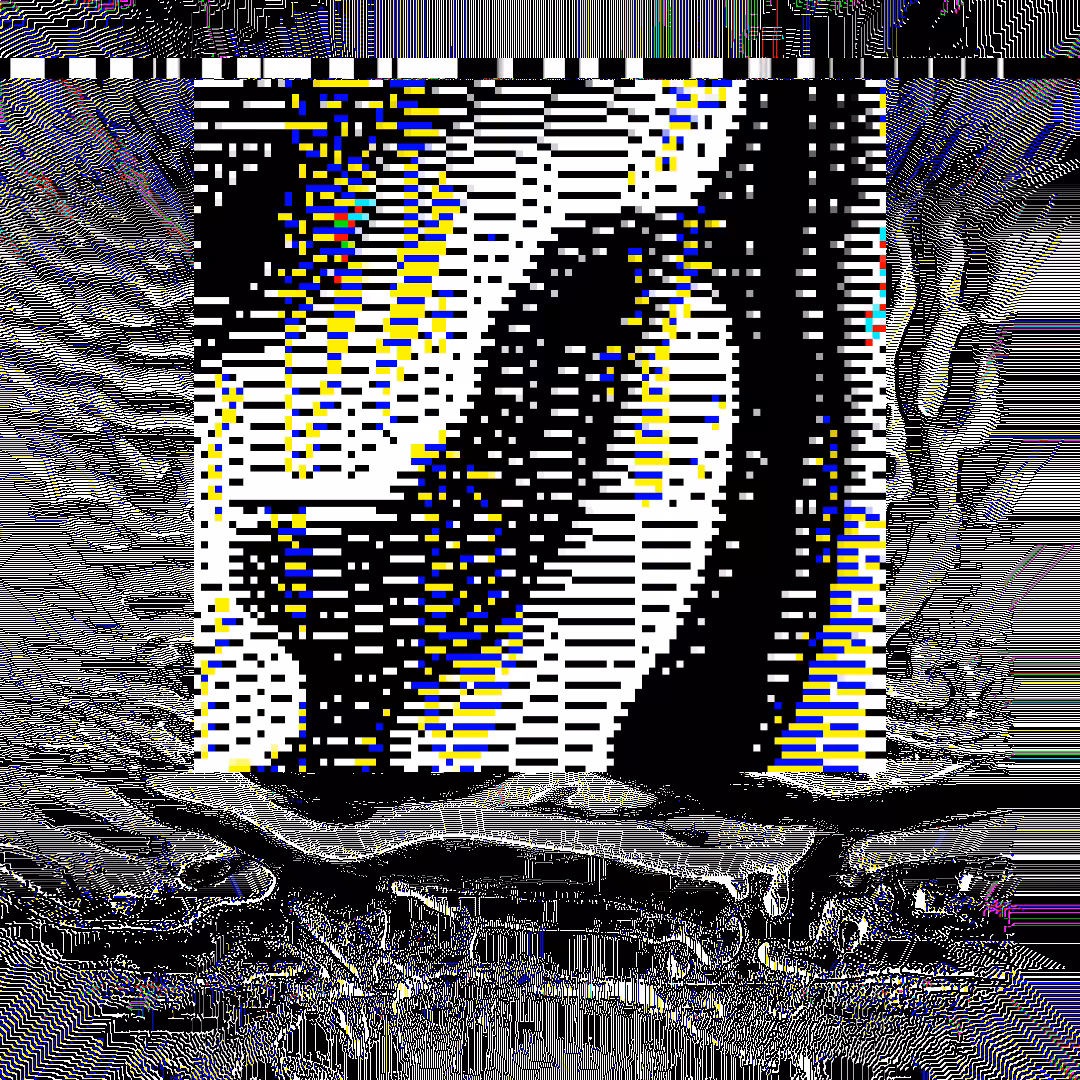 nearest neighbor - genesis  #87