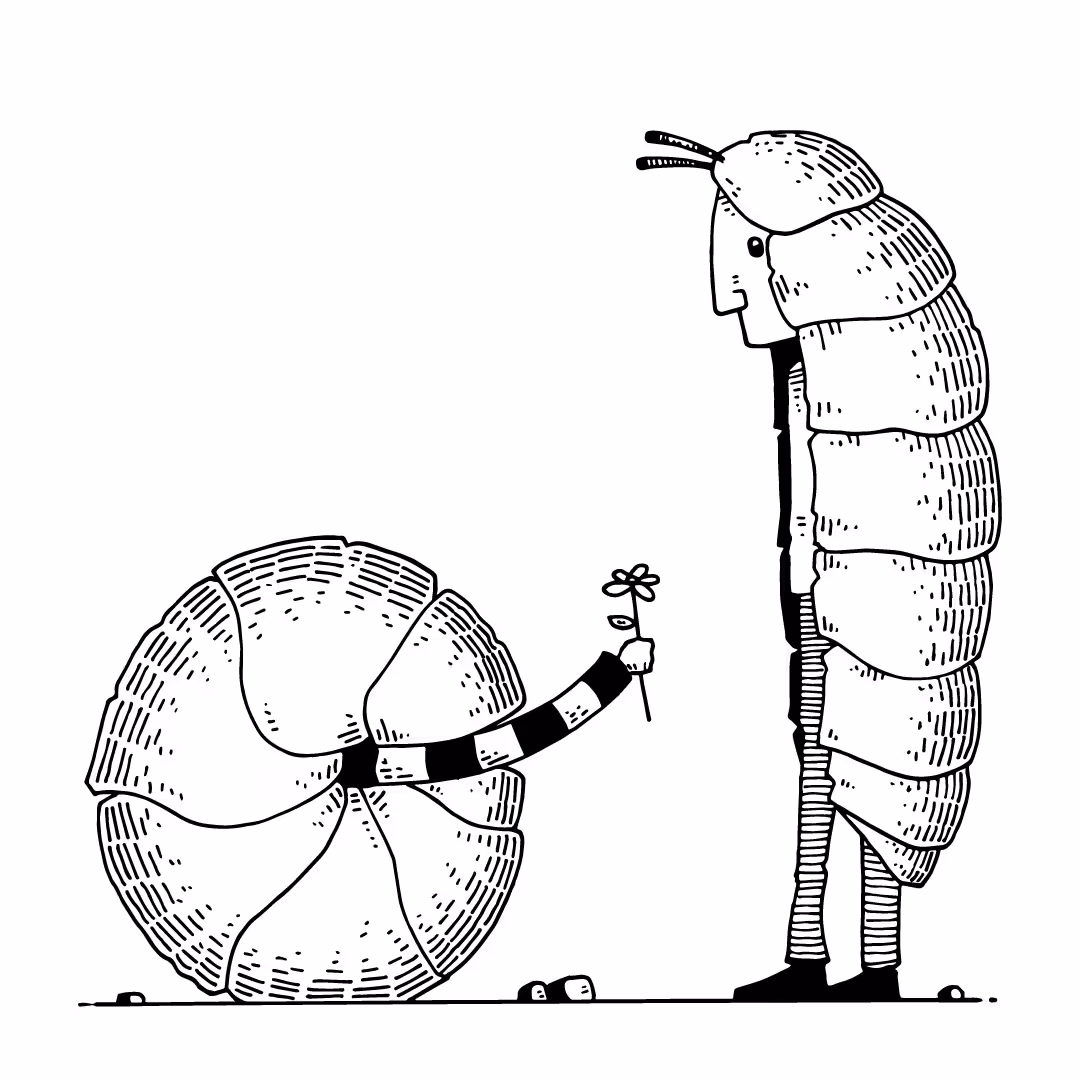 Inside my shell